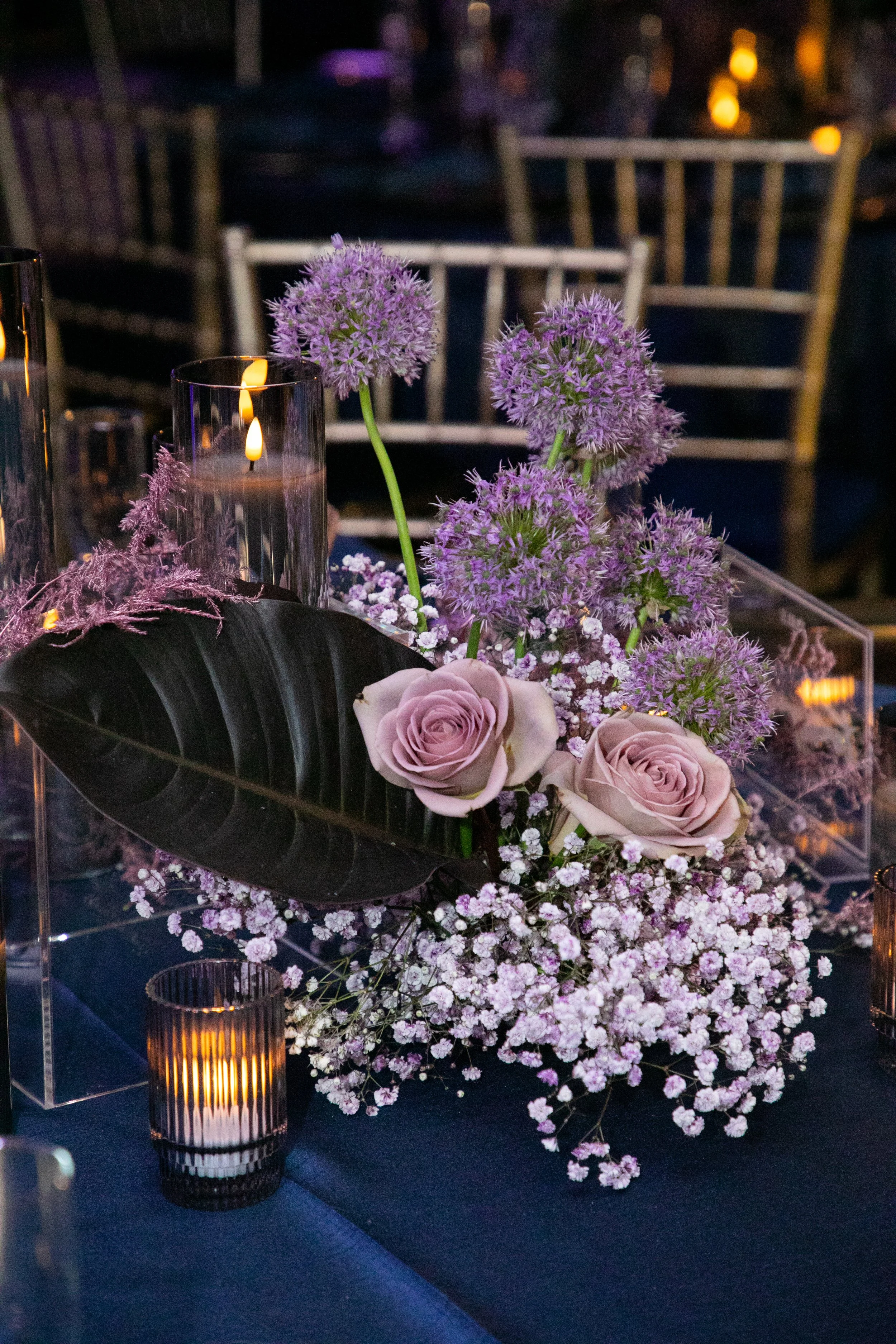 Highlights-1447.jpg