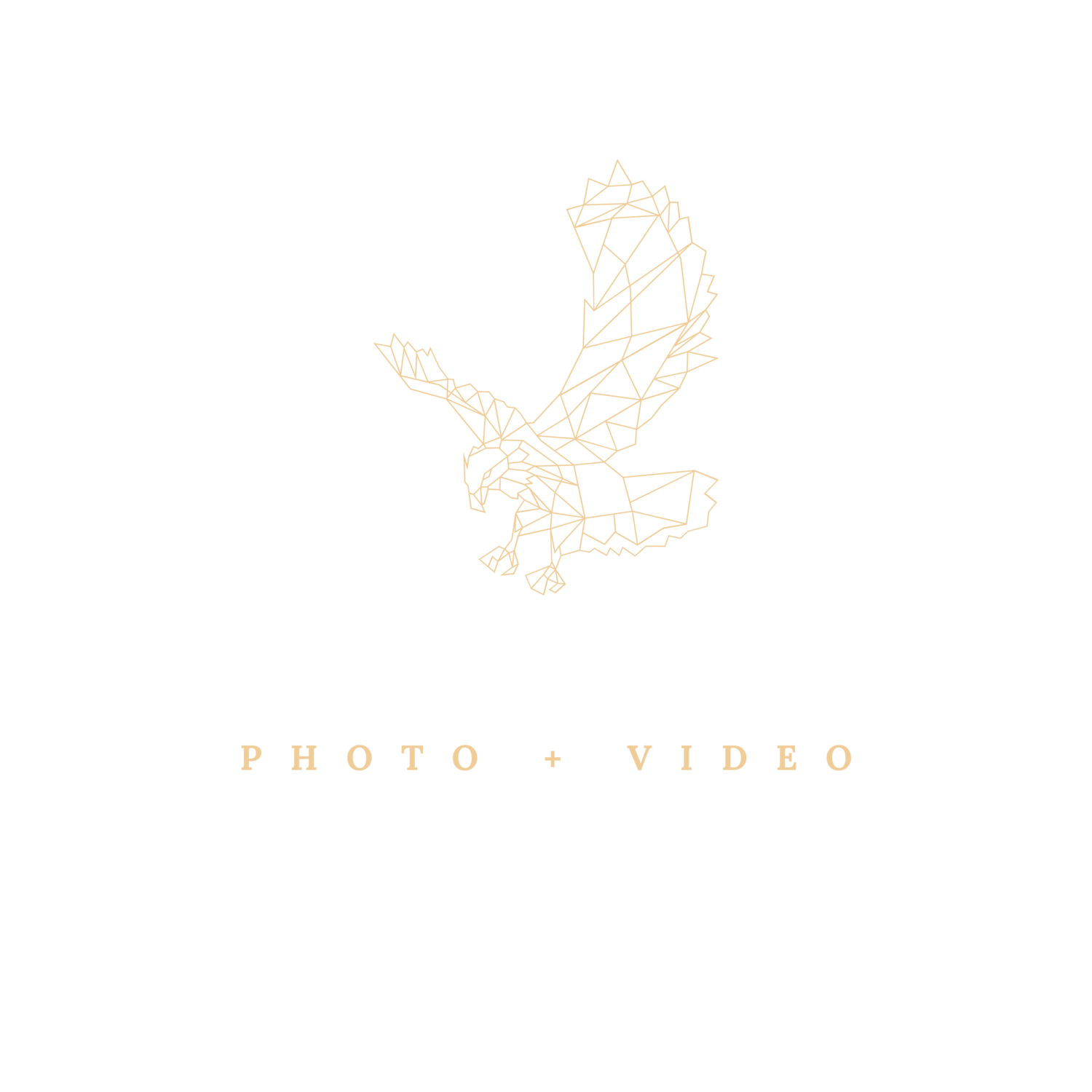 Wedding Photographer &amp; Videographer Ireland | Tyron Ross Photography
