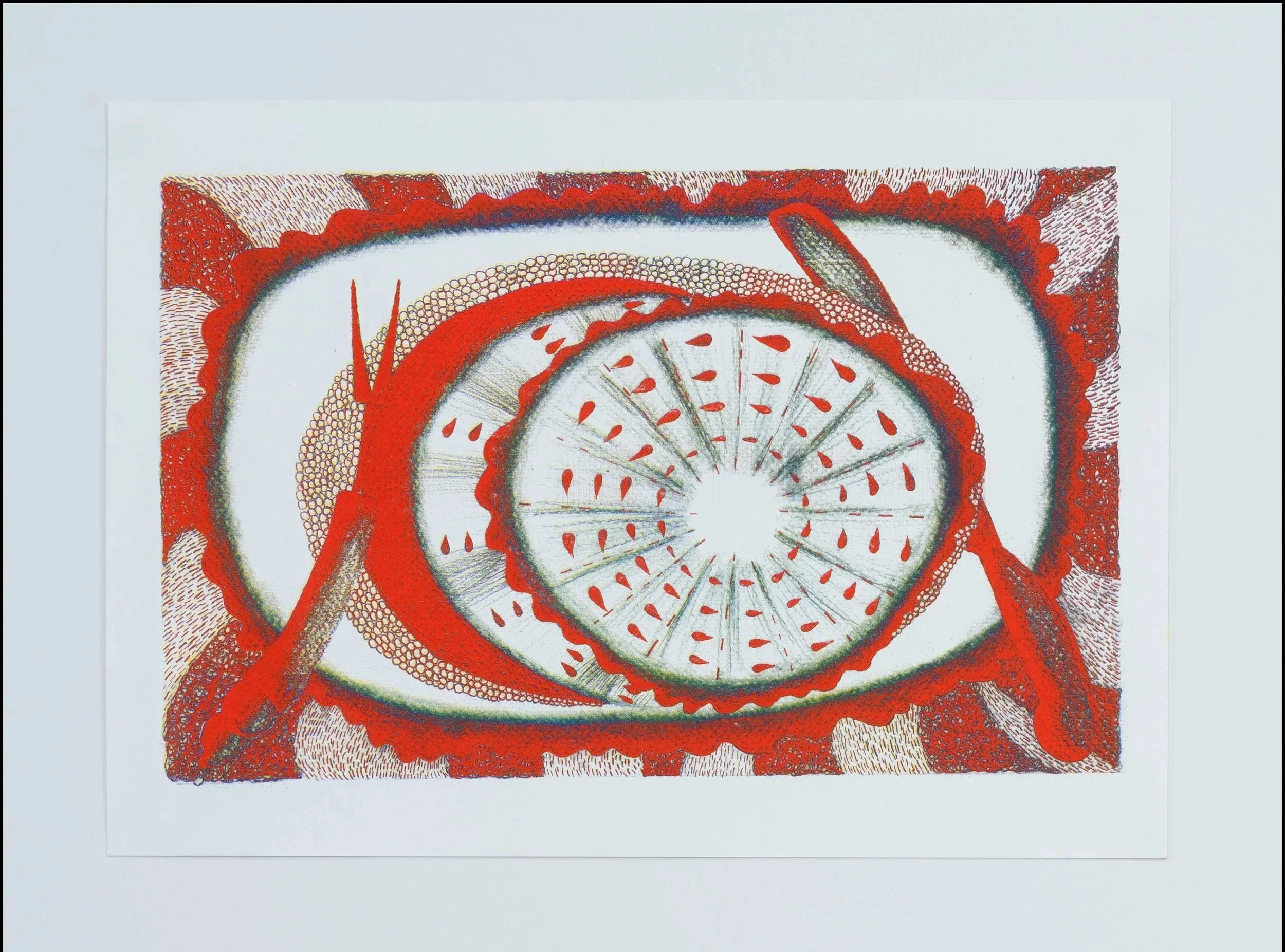 Watermelon Drawing, 2026. Riso Print on Watercolor Paper, Risograph print.