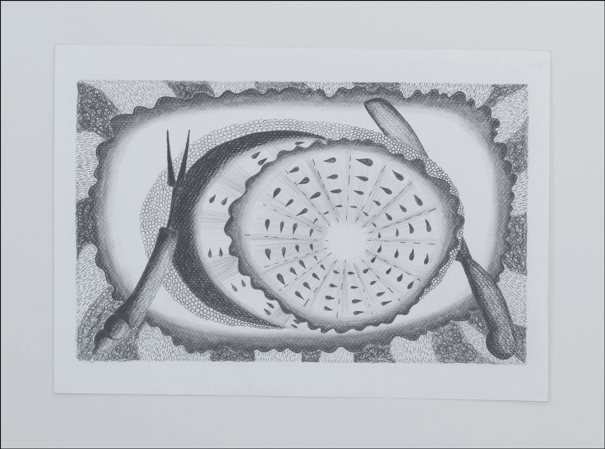 Riso Series of Watermelon Drawing. Riso prints and Graphite Drawing on A3