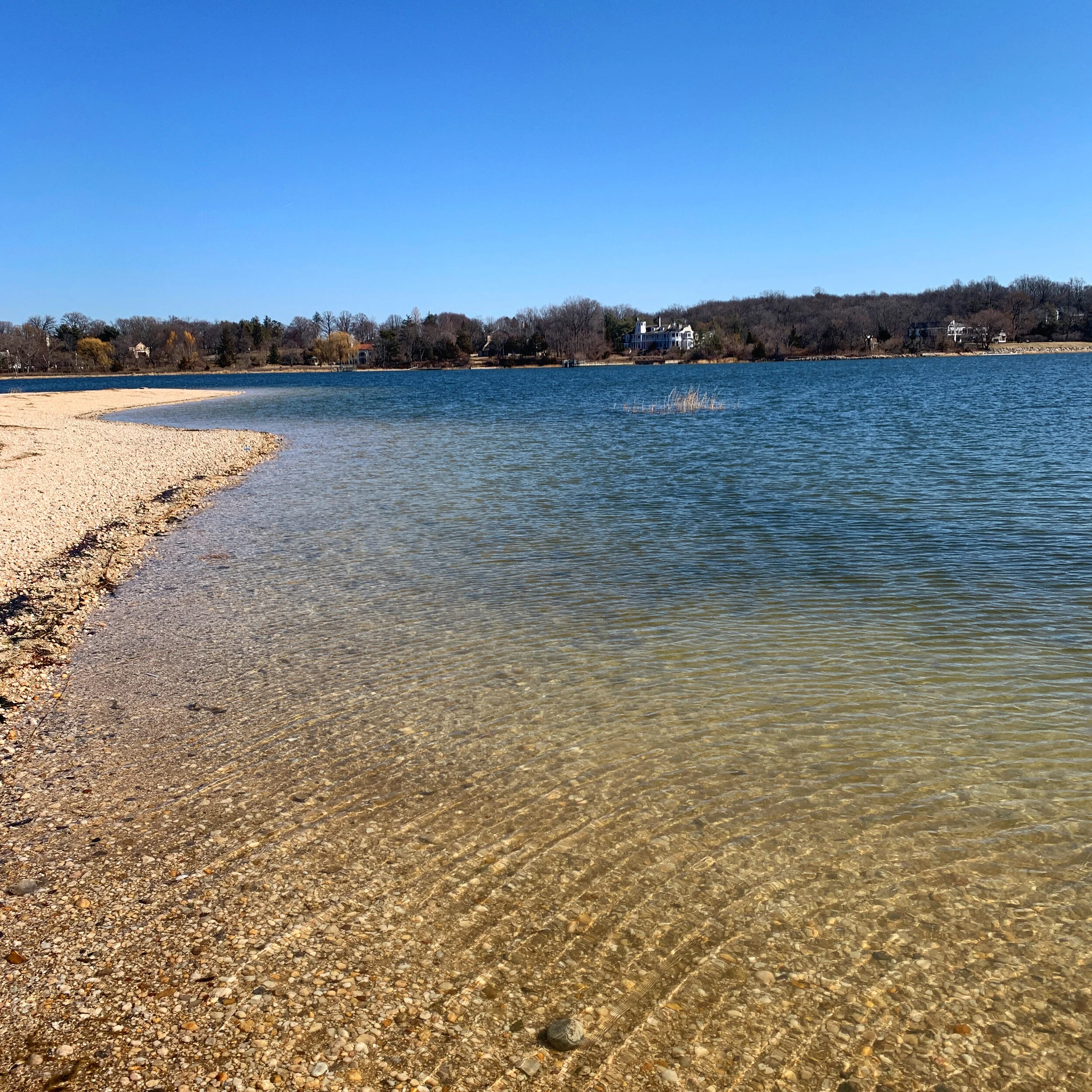 Location — Syosset Rowing Club