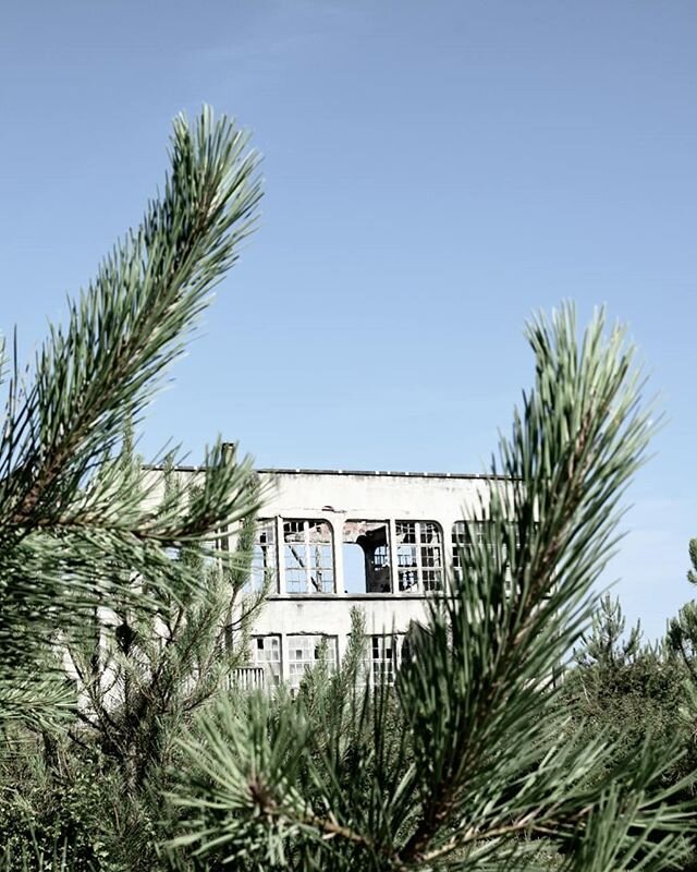 Entre l'ambiance beachlife et street, vous pr&eacute;f&eacute;rez quoi?
#beachlife#artofvisuals#lifestylephotography#architecturephotography#exploretocreate#summervibes#detailsoftheday#leslandes#labenne#wildernessculture#becreatives#desjoliesvuespro