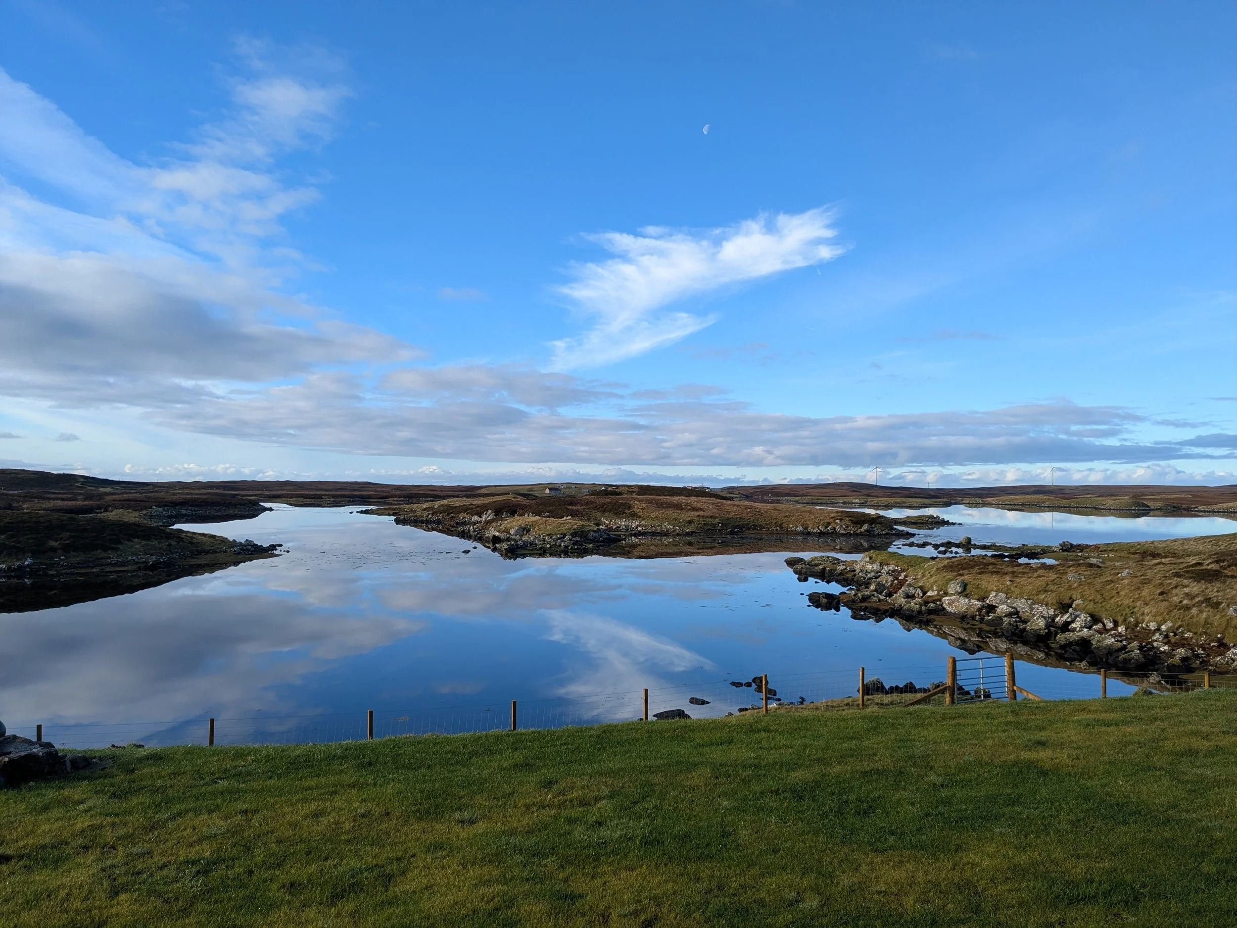 The view from Senna's home