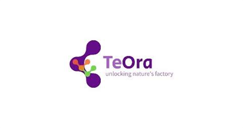TeOra — Morning Pitch Asia