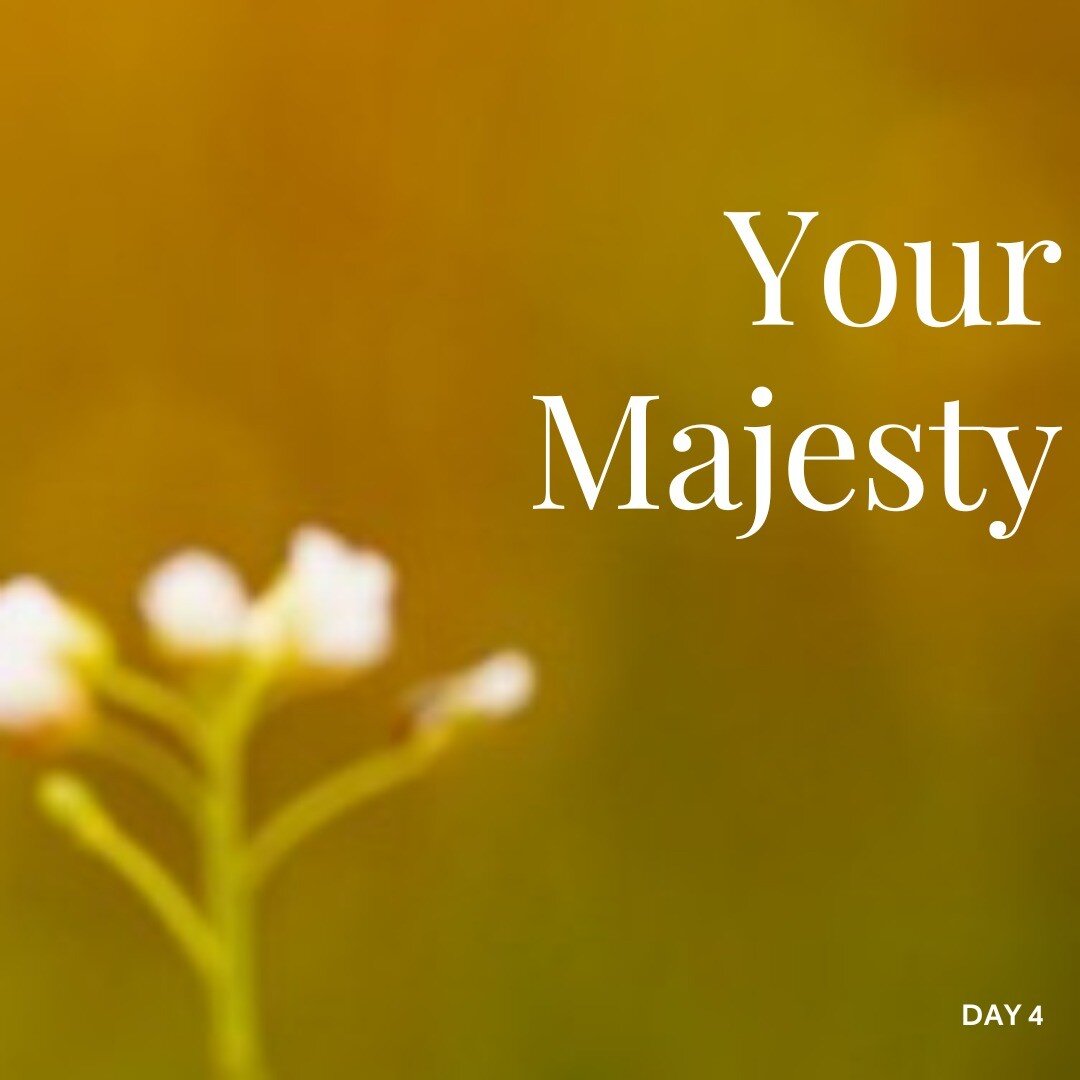 Day 4 - We are halfway through our Encountering God week. Today we are considering God's majesty. To read the daily devotional click here: https://mosaic-church.org.uk/encountering-god