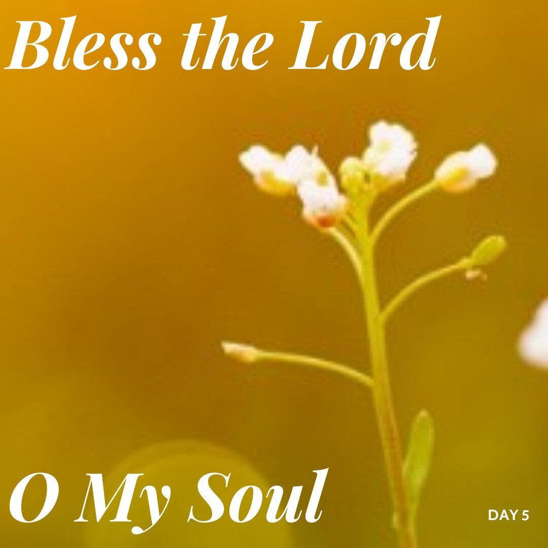 Day 5 - Bless the Lord O My Soul. Reading, praying, time with God https://mosaic-church.org.uk/encountering-god