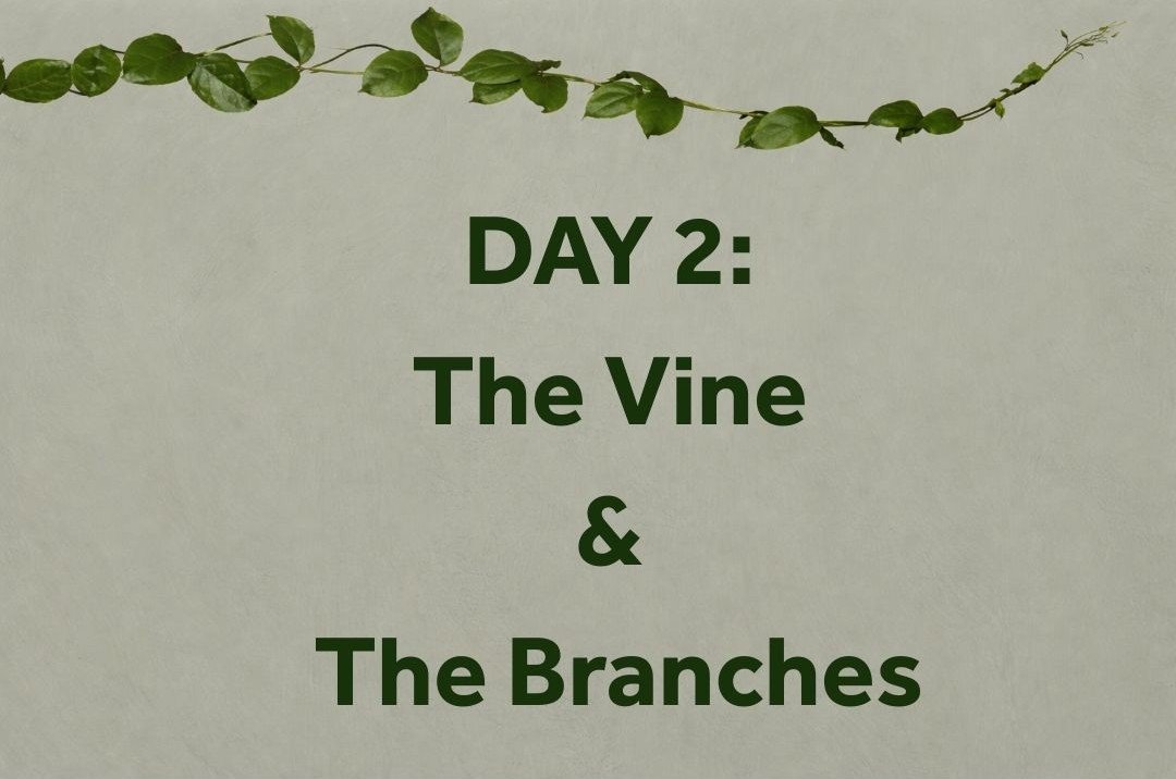 DAY 2: THE VINE &amp; THE BRANCHES