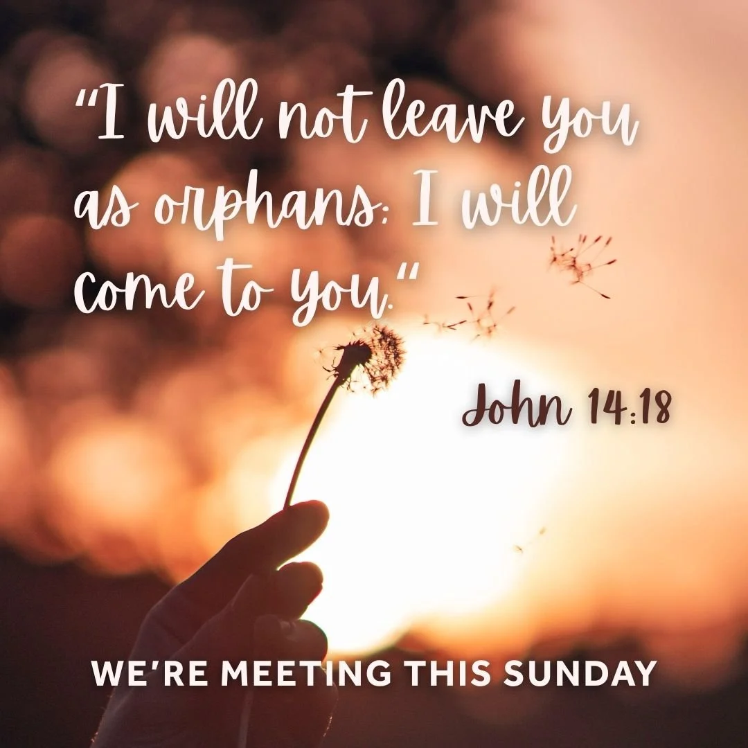 We are meeting this Sunday at 3pm at 1st Matthew's Community Centre.
Come join us as we meet with God through His word and enjoy our fellowship!
Bring a friend along!