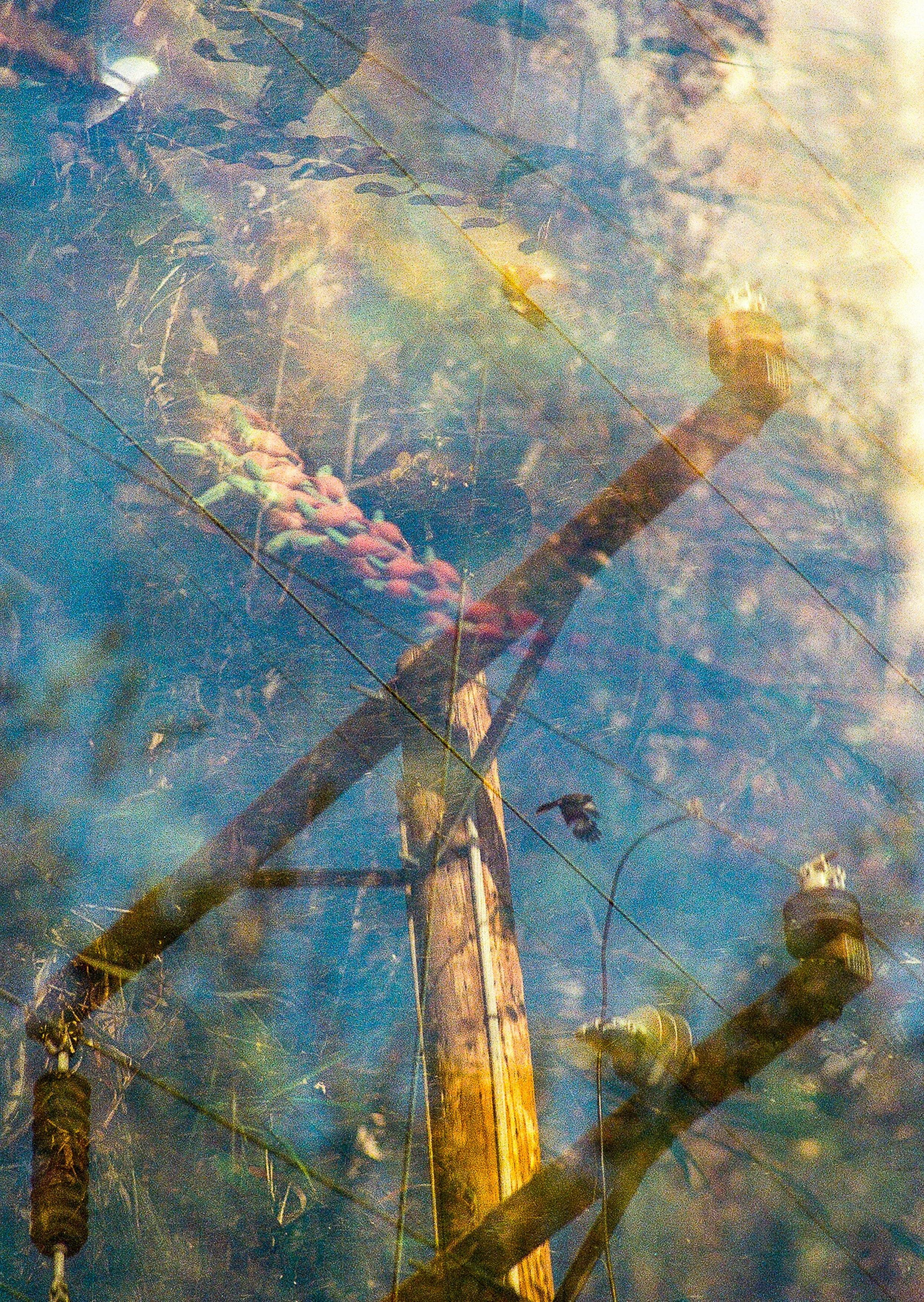 KR_OpenStudios_A4_flower powerline.jpg