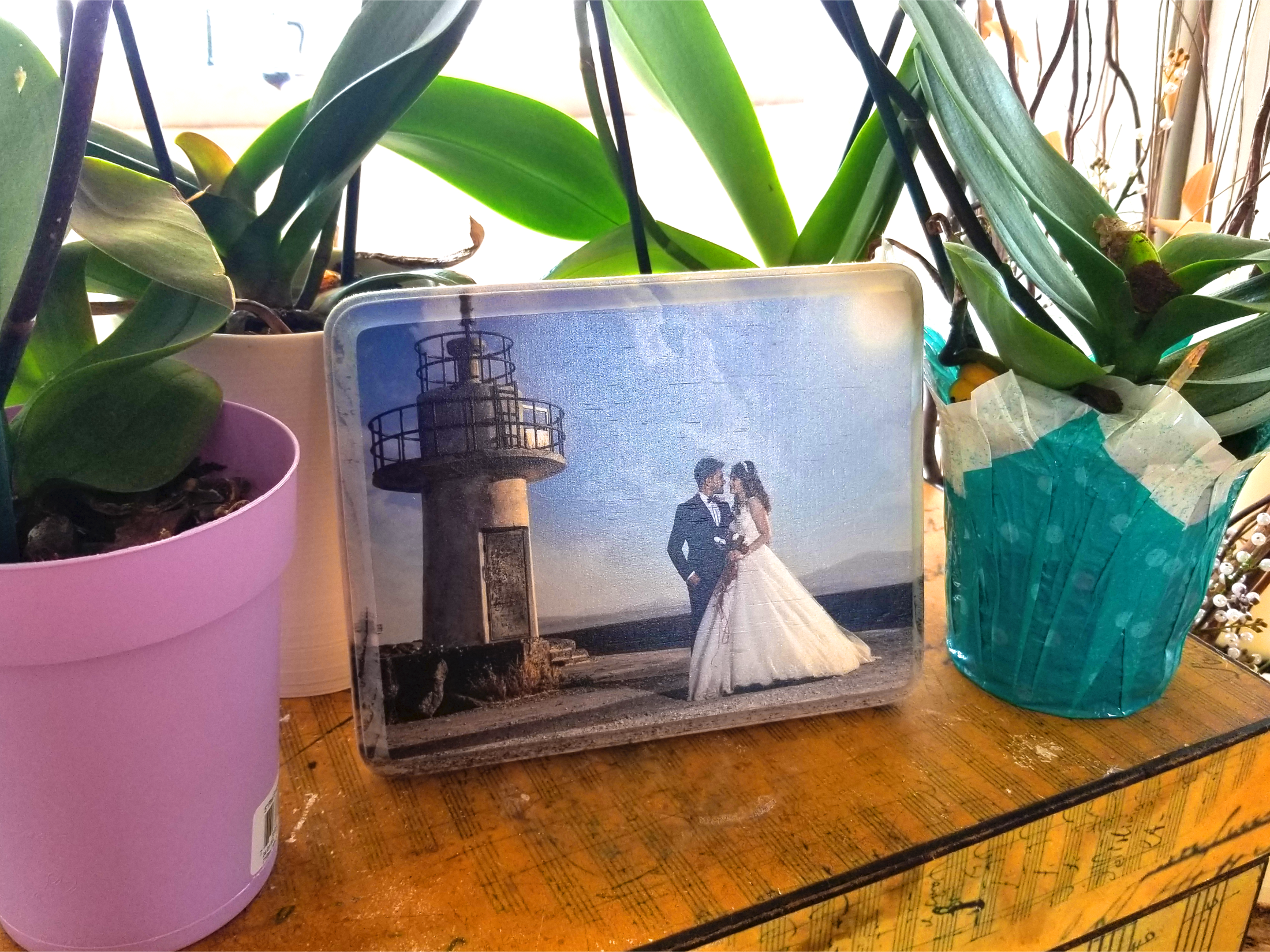 Wedding Light House Staged 01.png