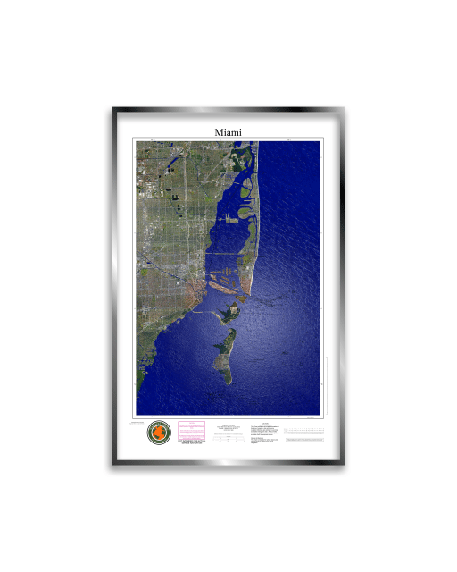 Animated Feature Framed Miami 2-1.gif