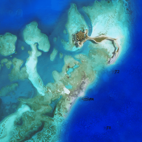 Dry Tortugas National Park