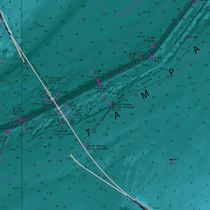 b Tamapa Bay Z Chart.jpg