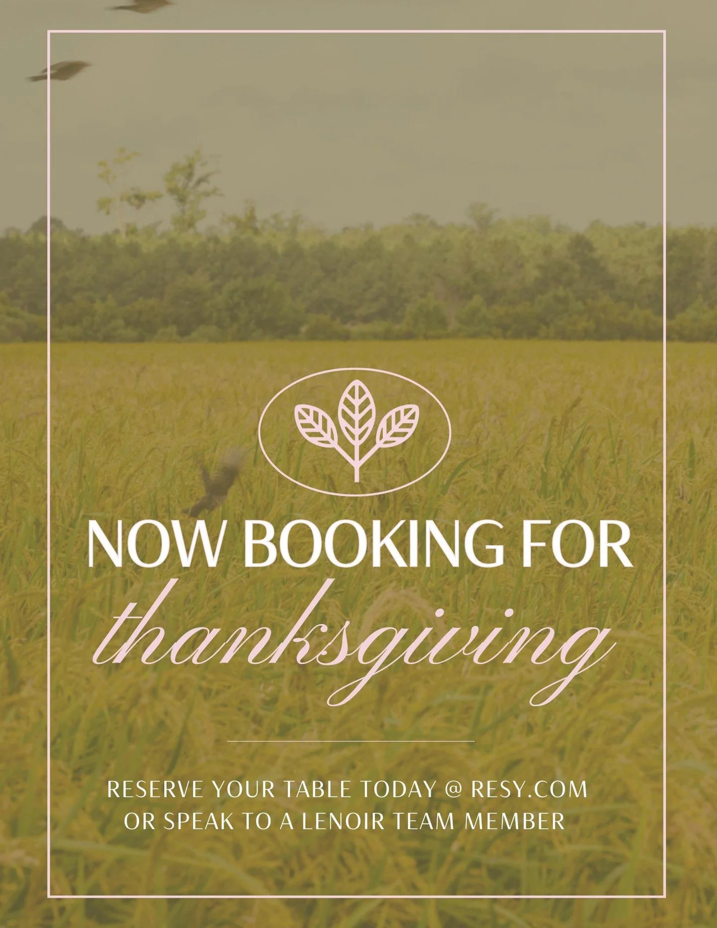 This Thanksgiving, gather around our table. 

Join us on November 27th for a four-course feast that celebrates the season through our Eastern NC lens. Familiar flavors reimagined with a touch of Lenoir flair. Come for the comfort, stay for the compan