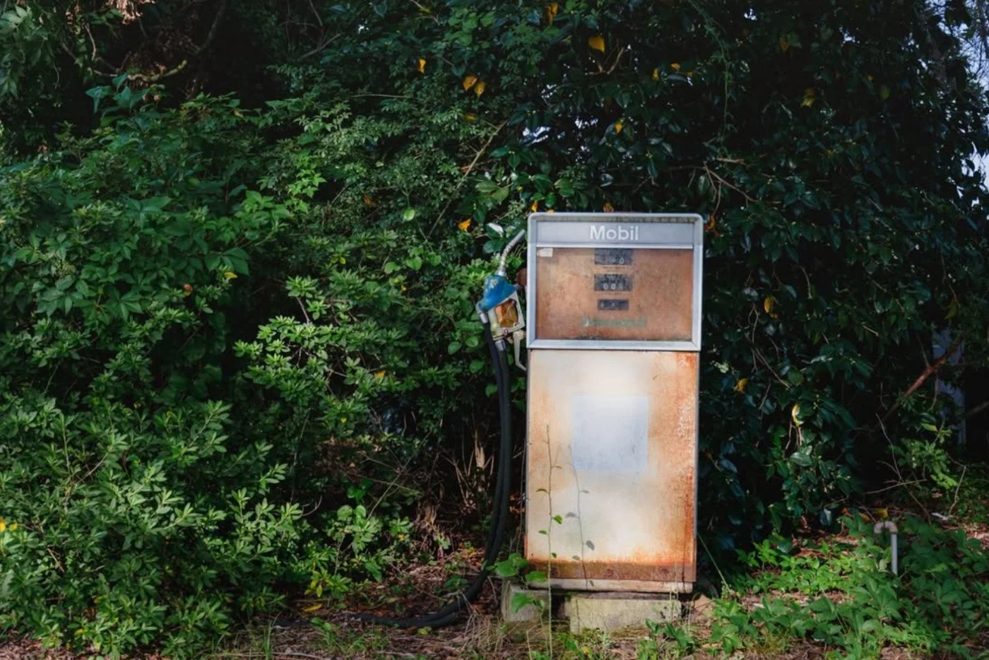 A dose of ENC ephemera. La Grange, NC #postcardsfromenc