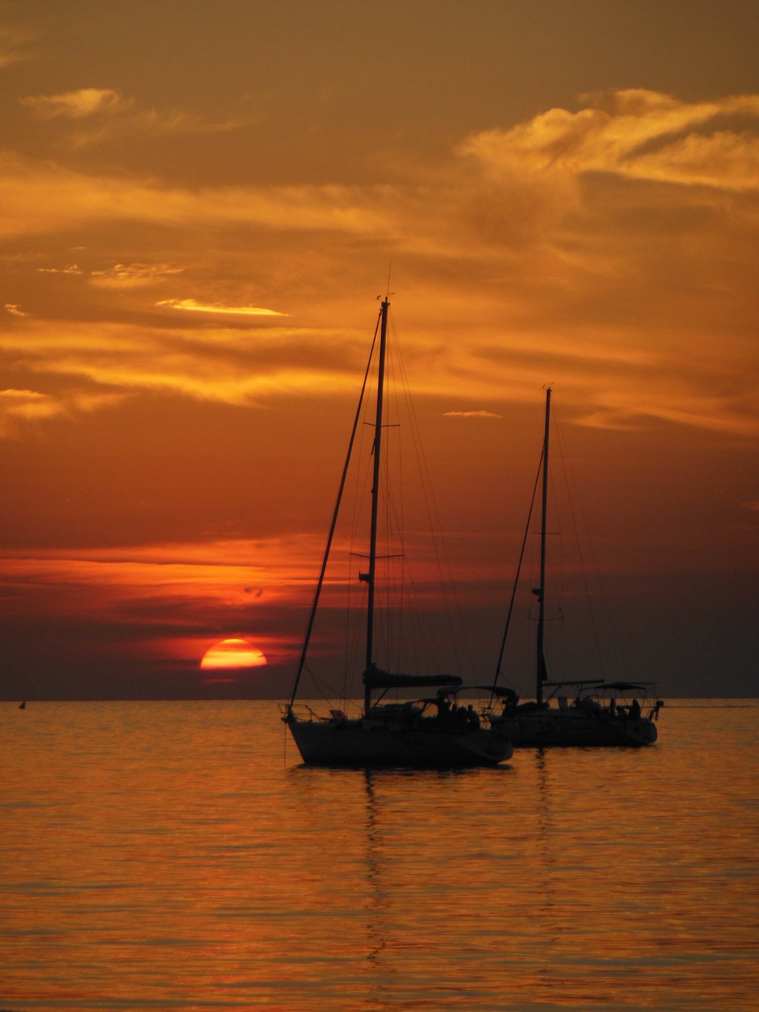 Unknown-10.jpg