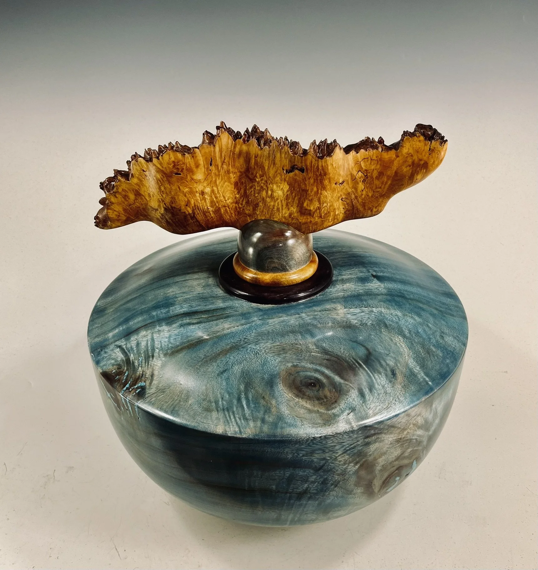 Camphor Hollow Form/ Maple Burl