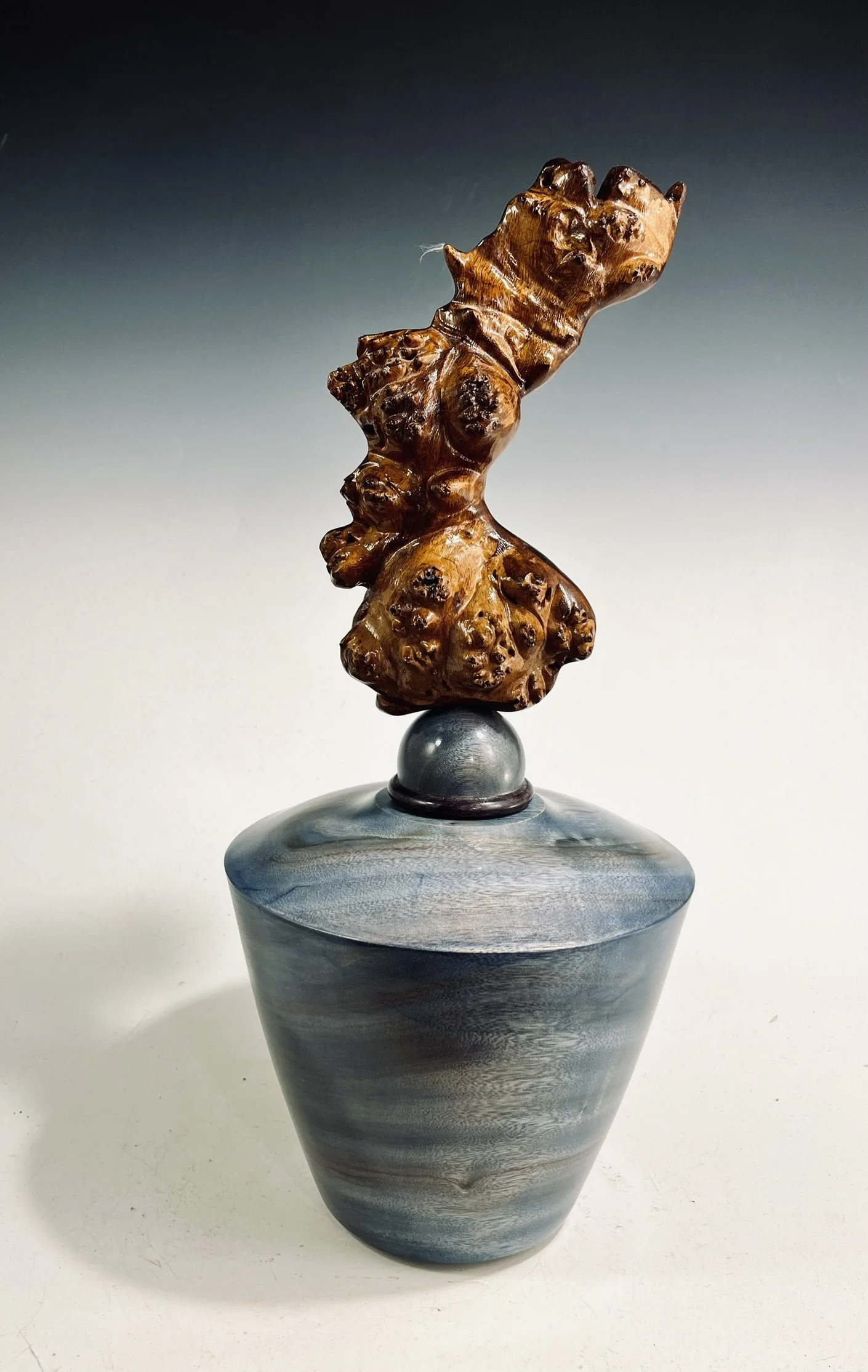 Camphor Hollow Form/ Maple Burl