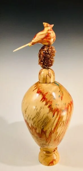 Ash Leaf Maple / Cardinal