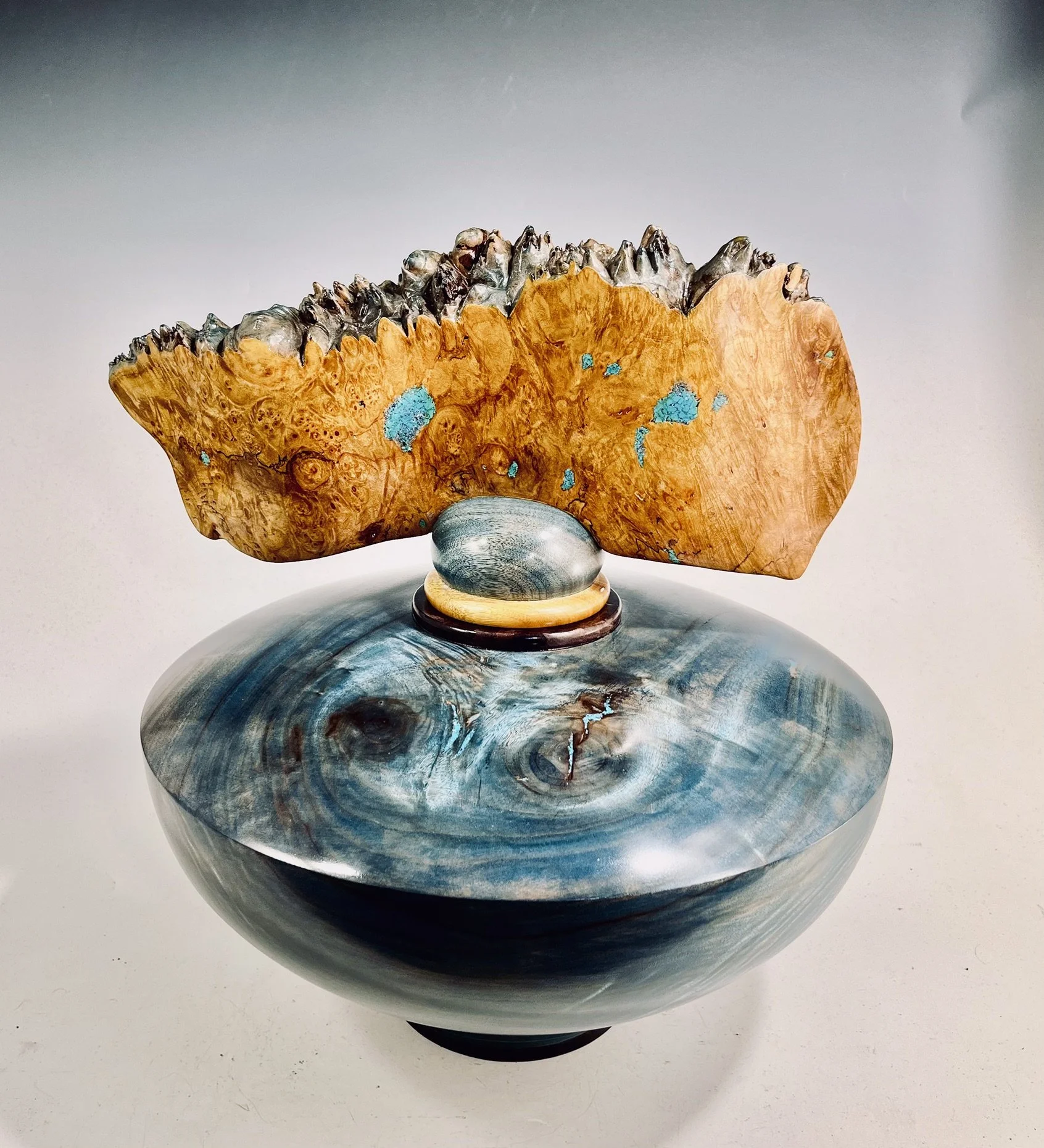 Camphor hollow Form/ Maple Burl