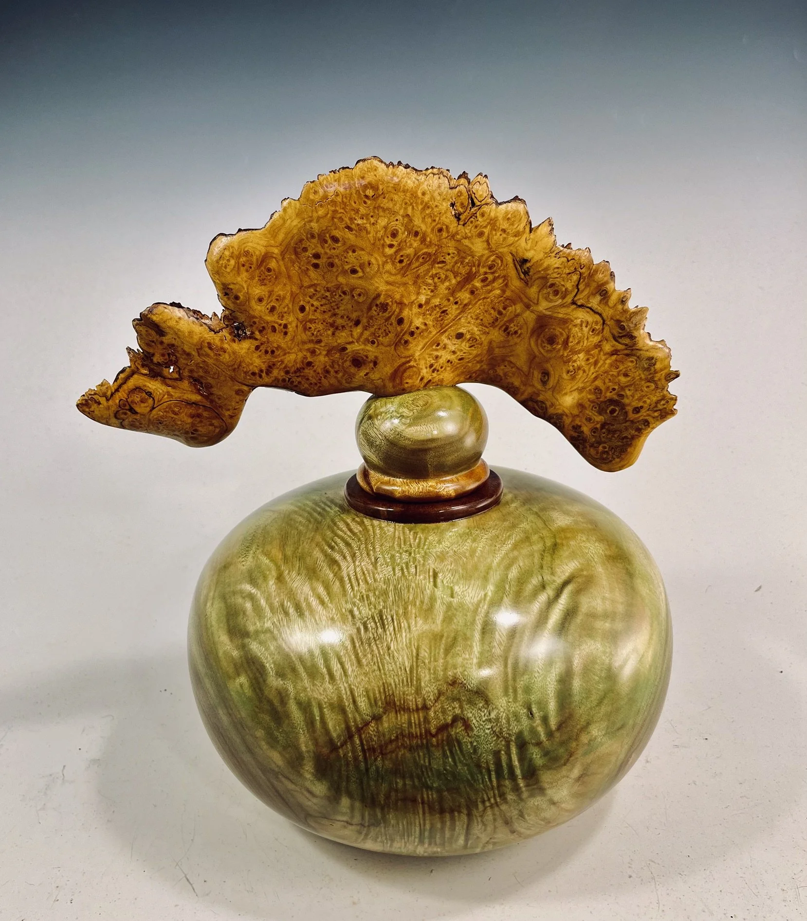 Camphor Hollow Form/ Maple Burl