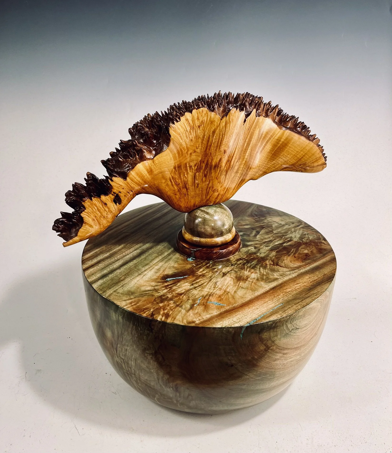 Camphor Hollow Form/ Maple Burl