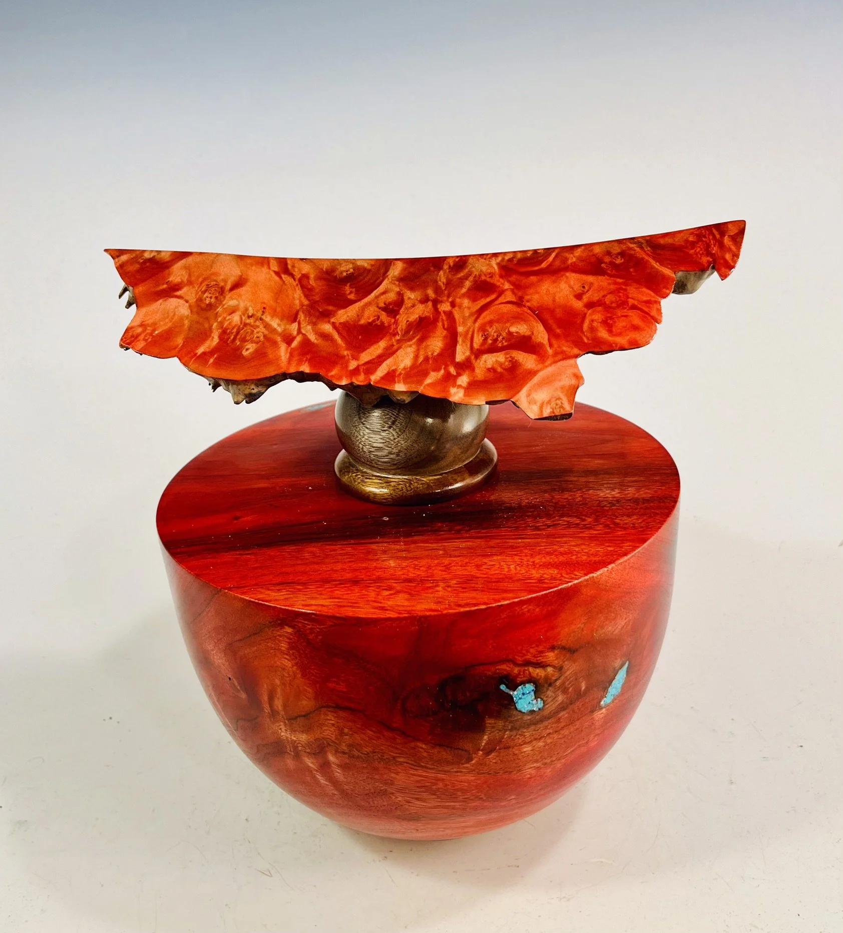 Camphor Hollow Form/ Maple Burl