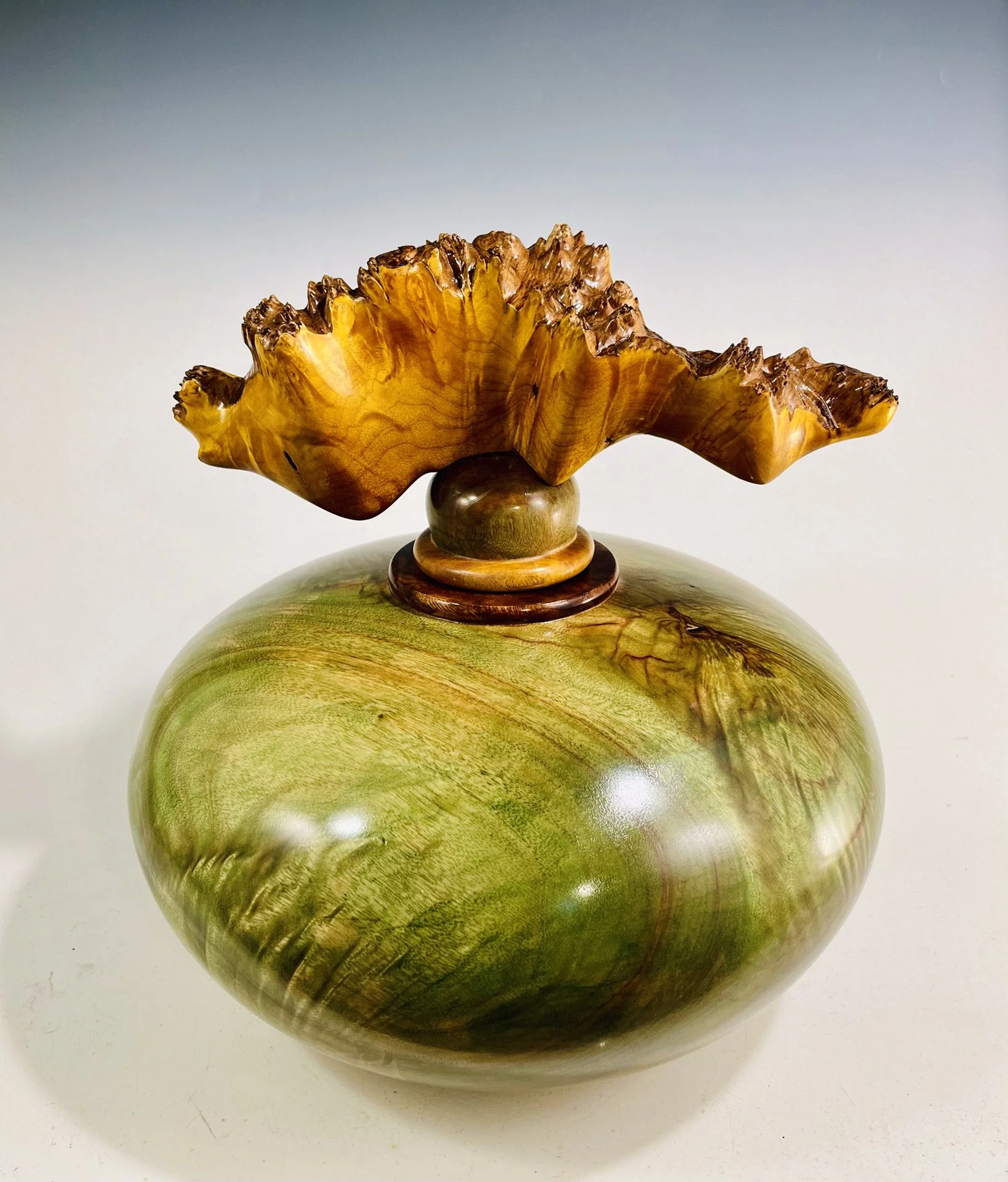 Camphor Hollow Form/ Maple Burl