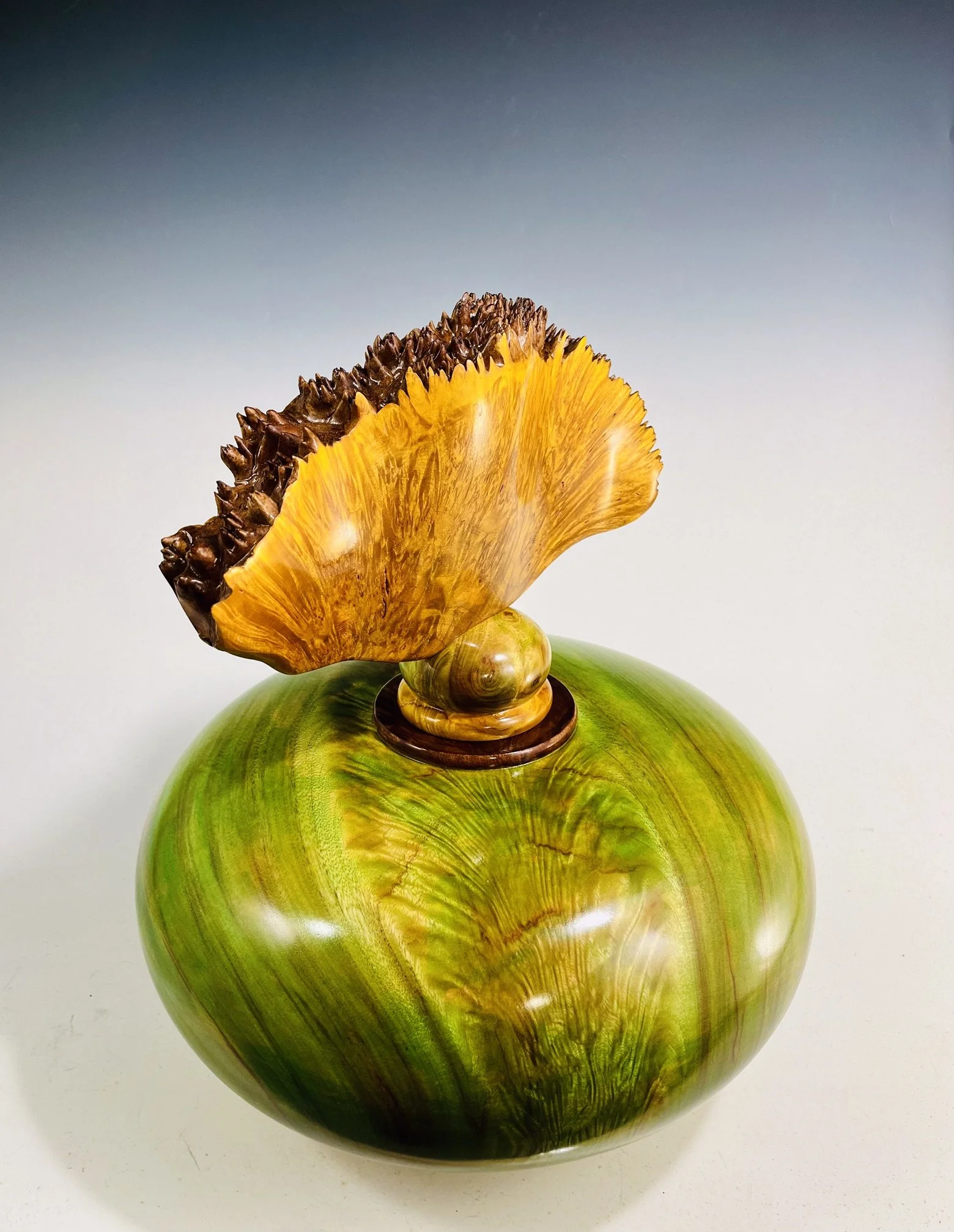 Camphor Hollow Form/ Maple Burl