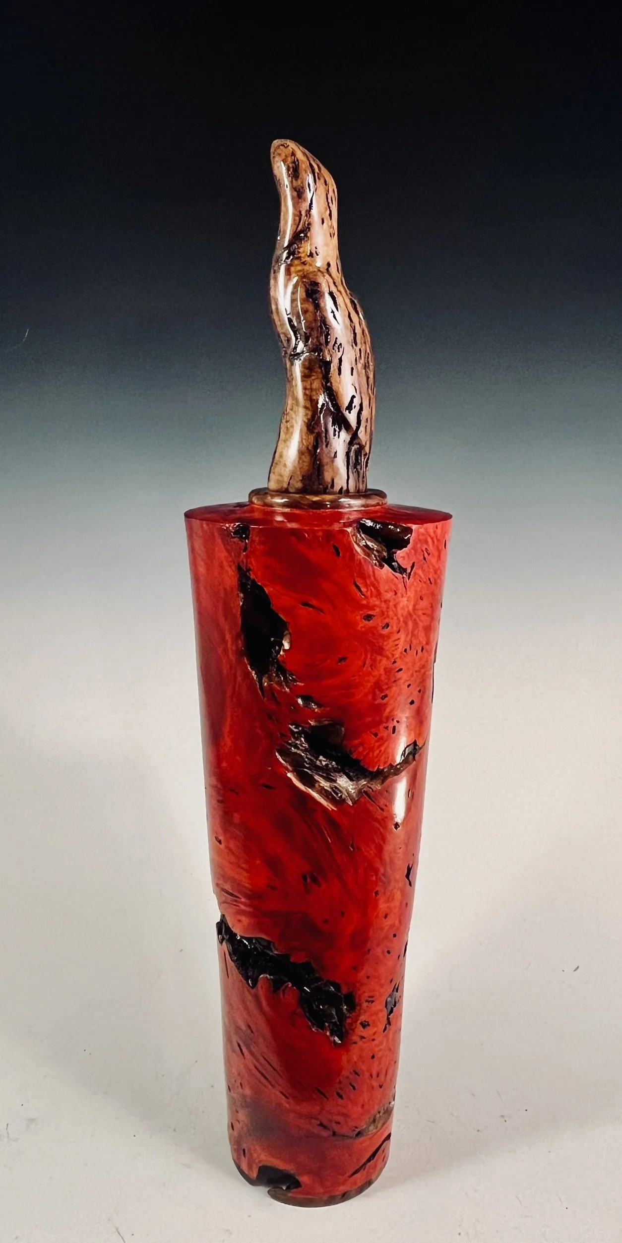 Buckeye Burl Hollow Form with White Top Burl Sculpture