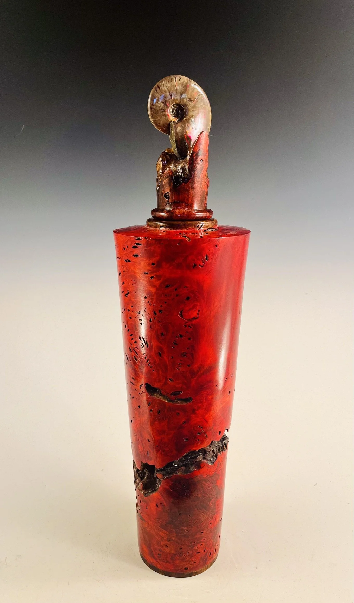 Buckeye Burl Hollow Form with White Top Burl Sculpture