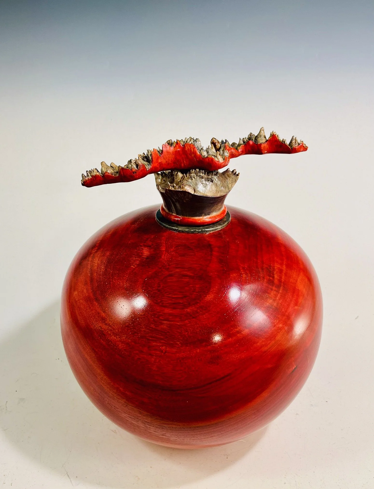 Camphor Hollow Form/ Maple Burl