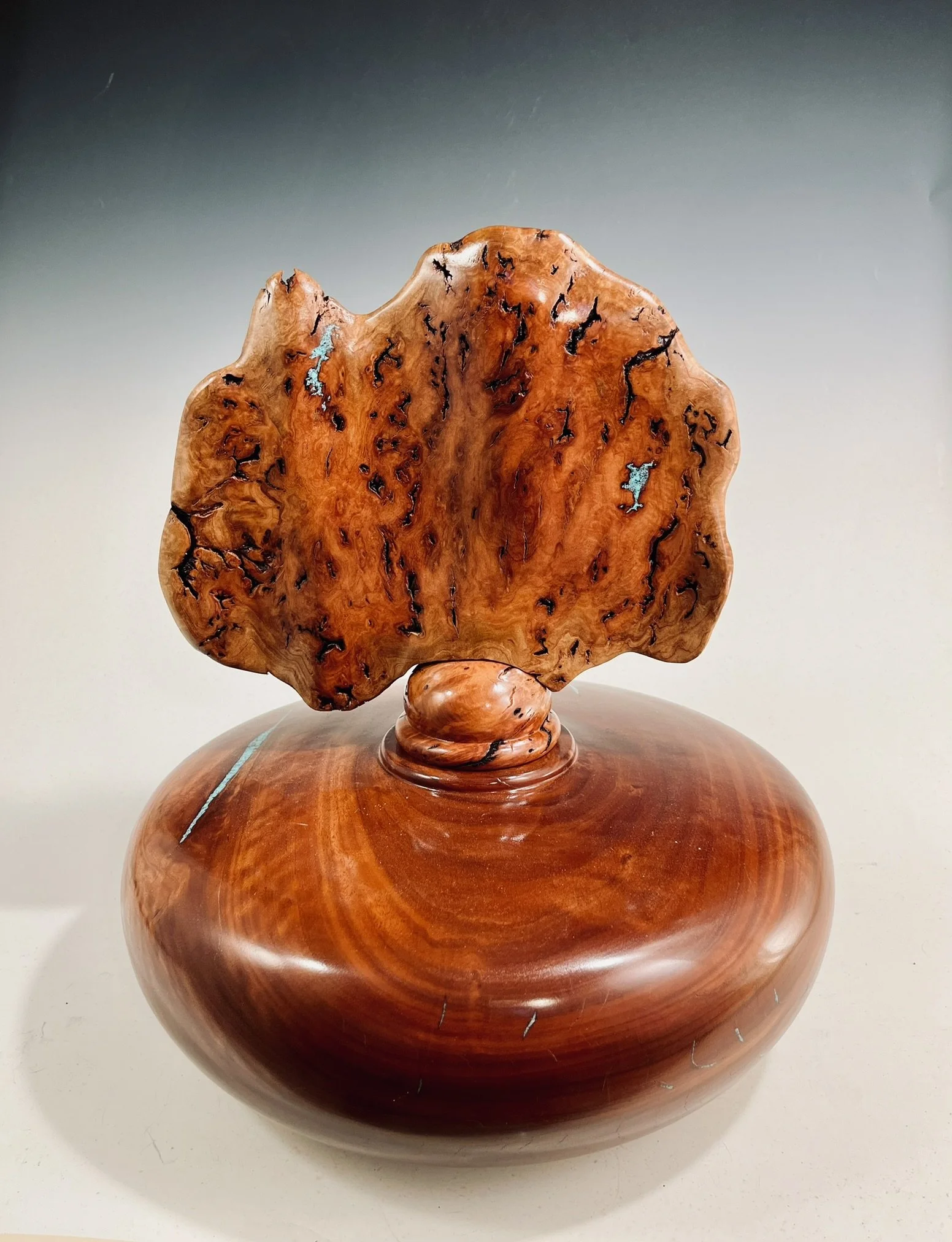 Eucalyptus Hollow Form/ Red Gum Burl
