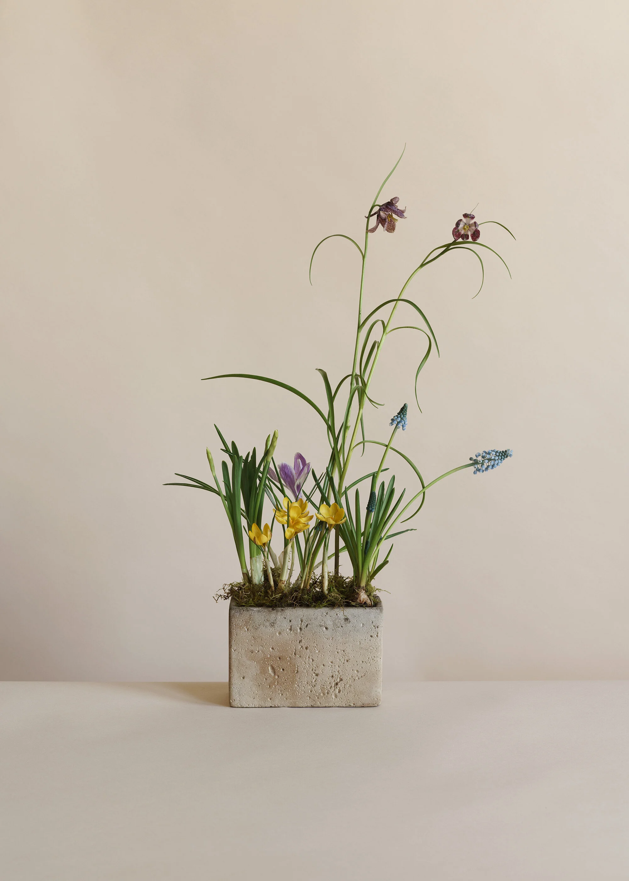 Spring Cube Planter
£35
