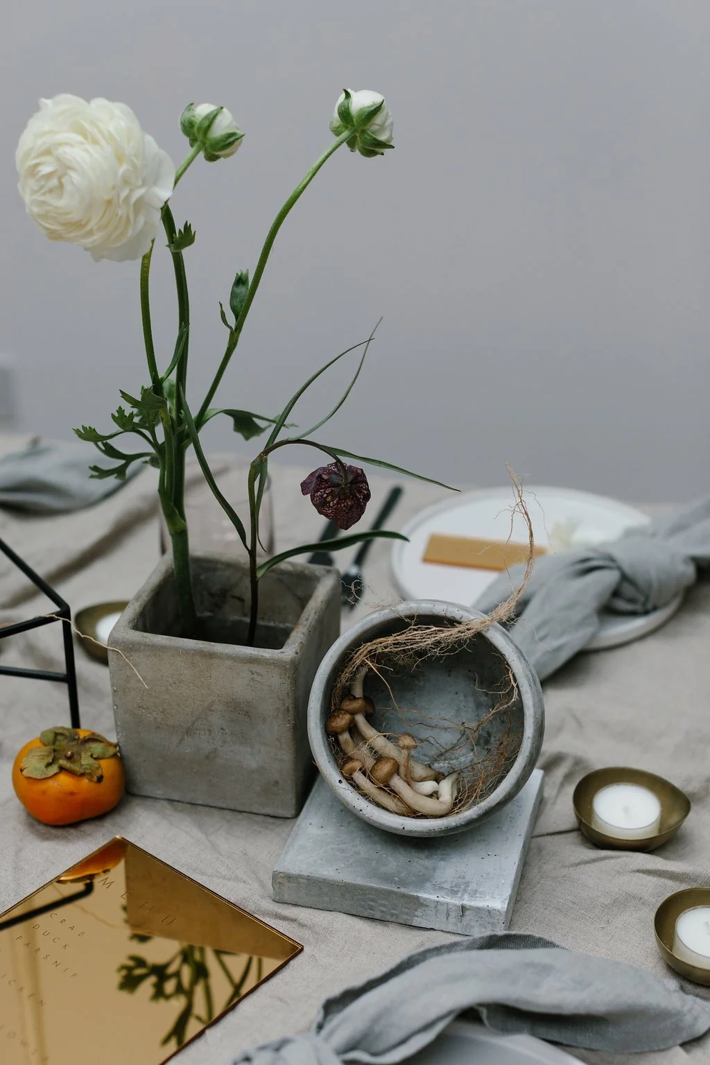 PYRUS-Botanicals-Caro-Weiss-FABRICA-17.jpg