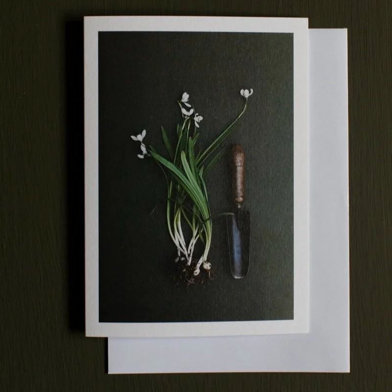 Eva Nemeth Gift Card