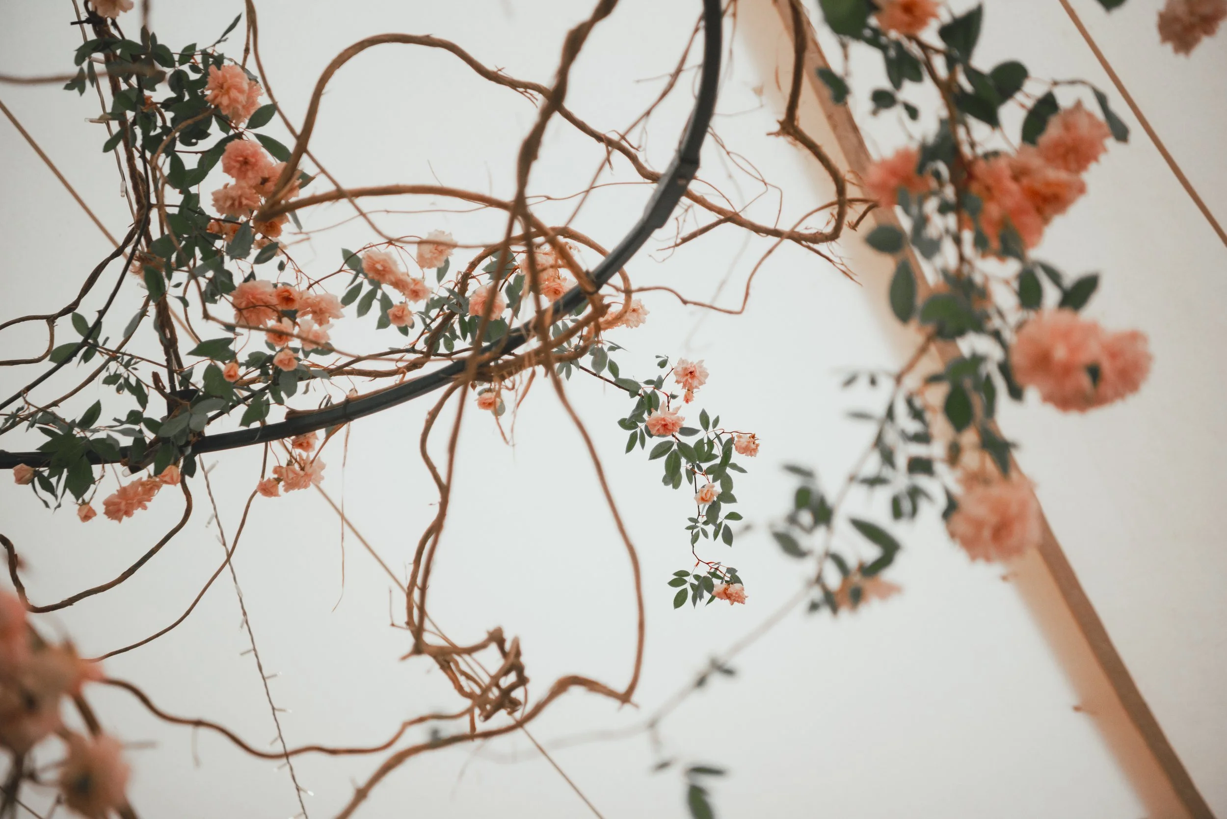 PYRUS-Botanicals-Secret-Garden-Wedding-24.jpg