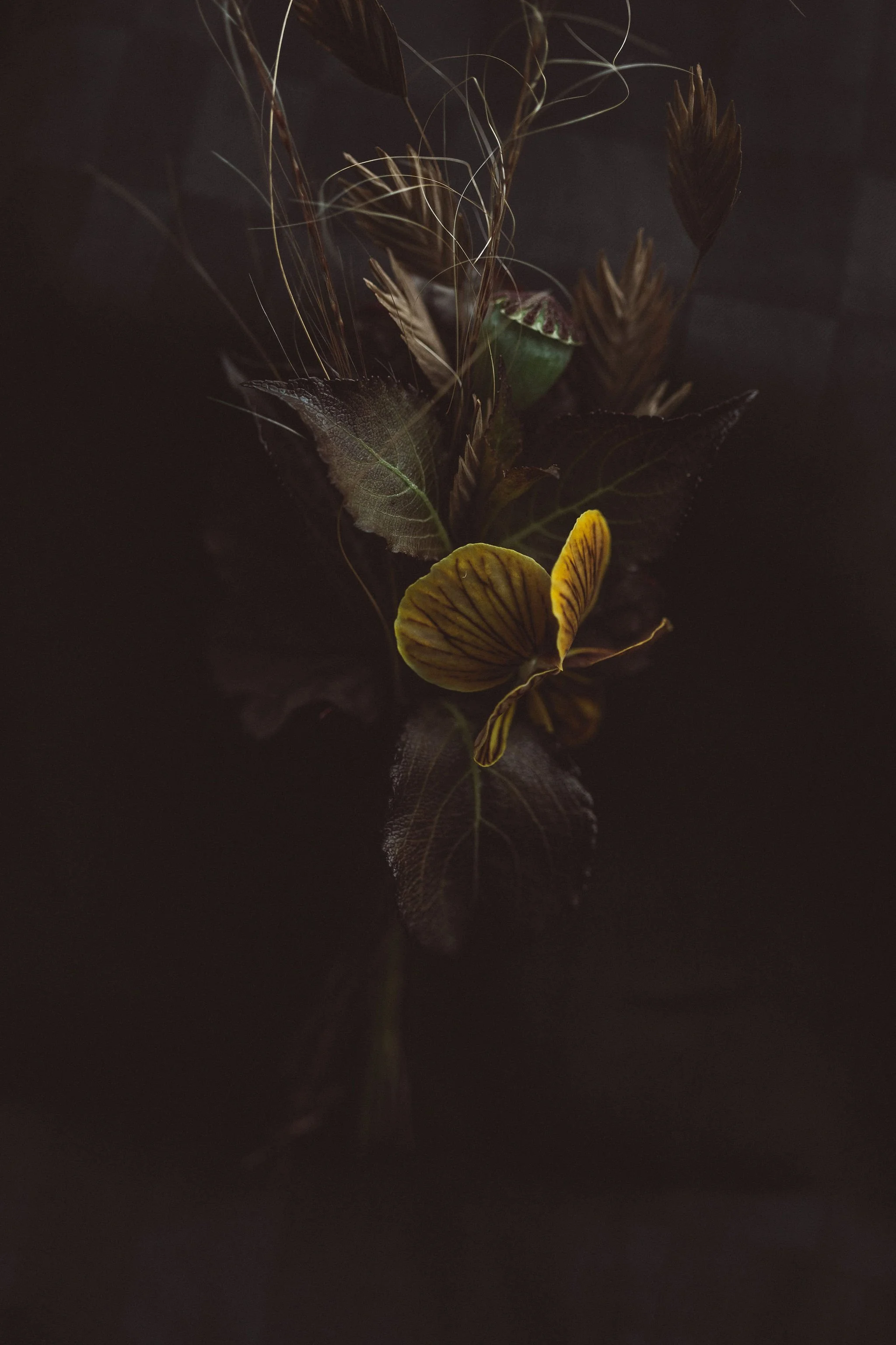 PYRUS-Botanicals-Wedding-027.jpg