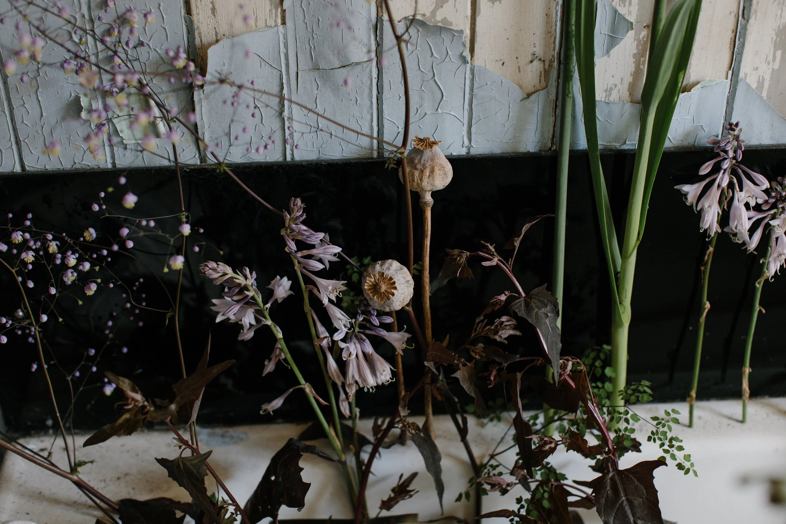 PYRUS-Alison-Macleod-120.jpg