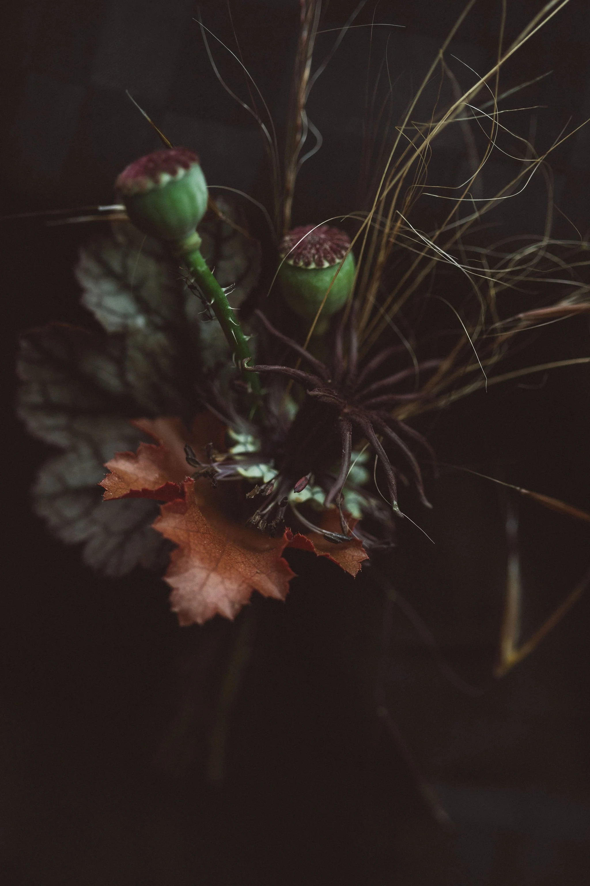 PYRUS-Botanicals-Wedding-026.jpg