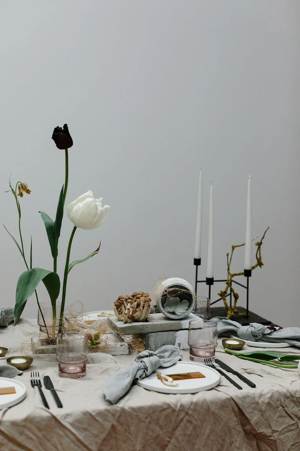 PYRUS-Botanicals-Caro-Weiss-FABRICA-12.jpg