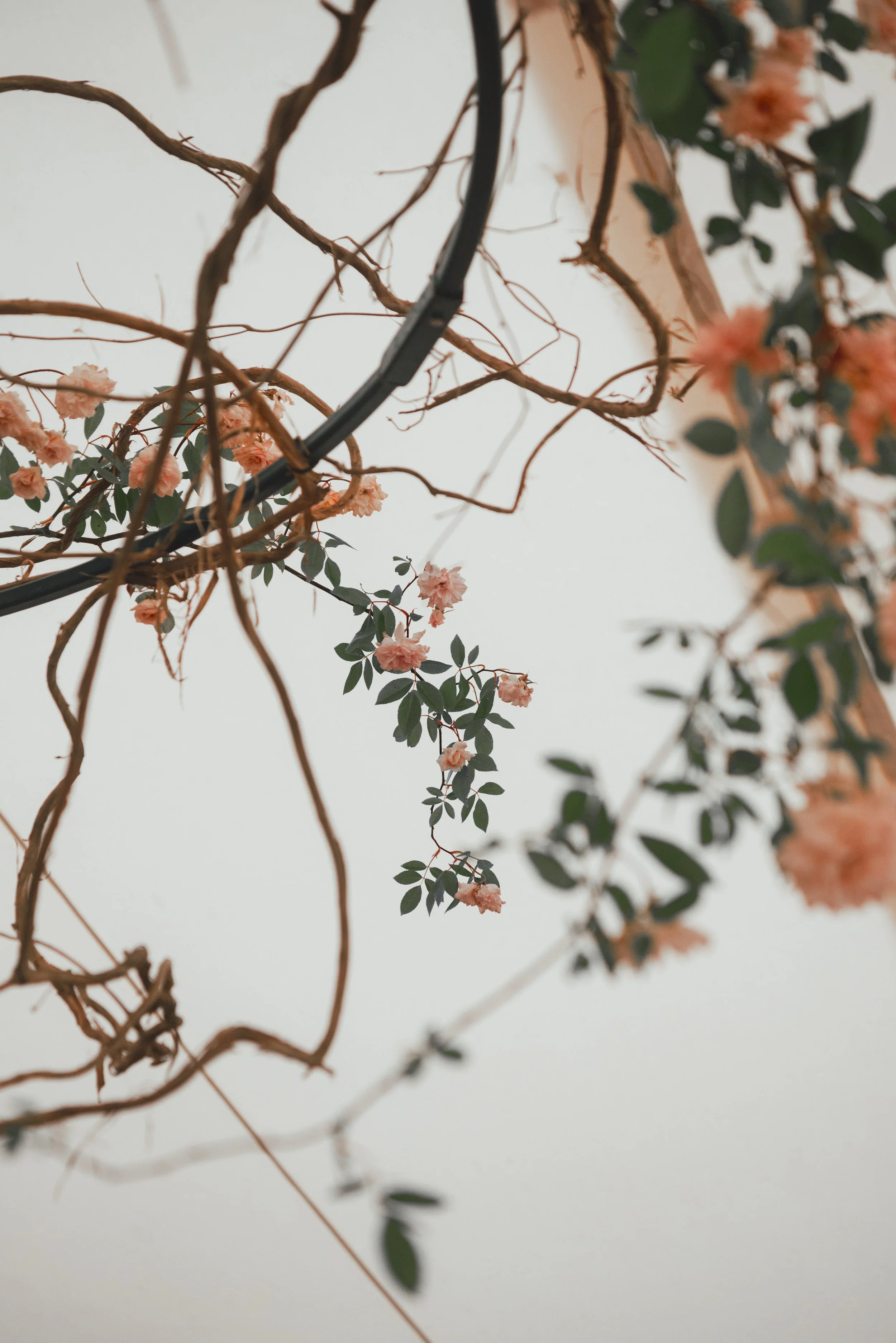 PYRUS-Botanicals-Secret-Garden-Wedding-23.jpg