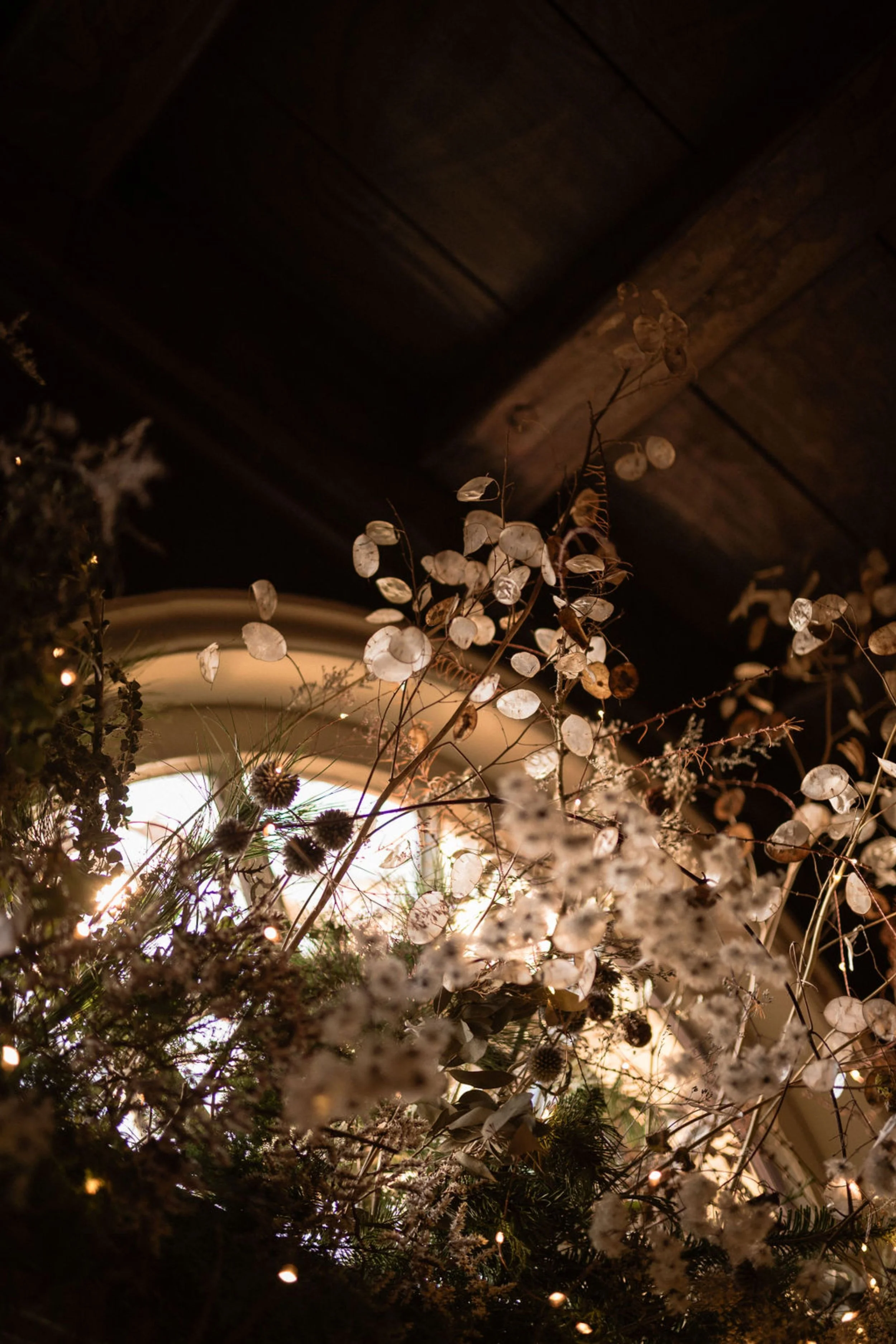 PYRUS-Botanicals-The-Witchery-6418.jpg
