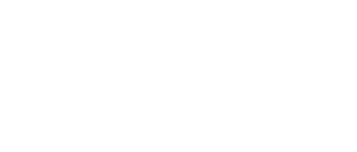 Flanders Folk Network