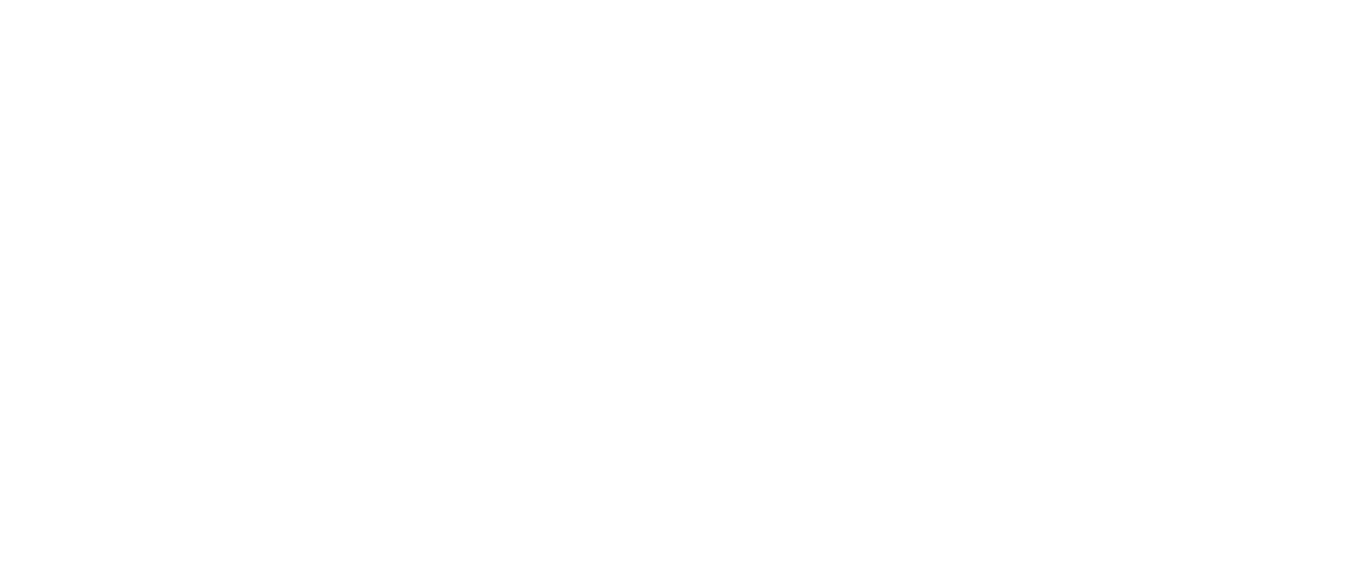 Flanders Folk Network