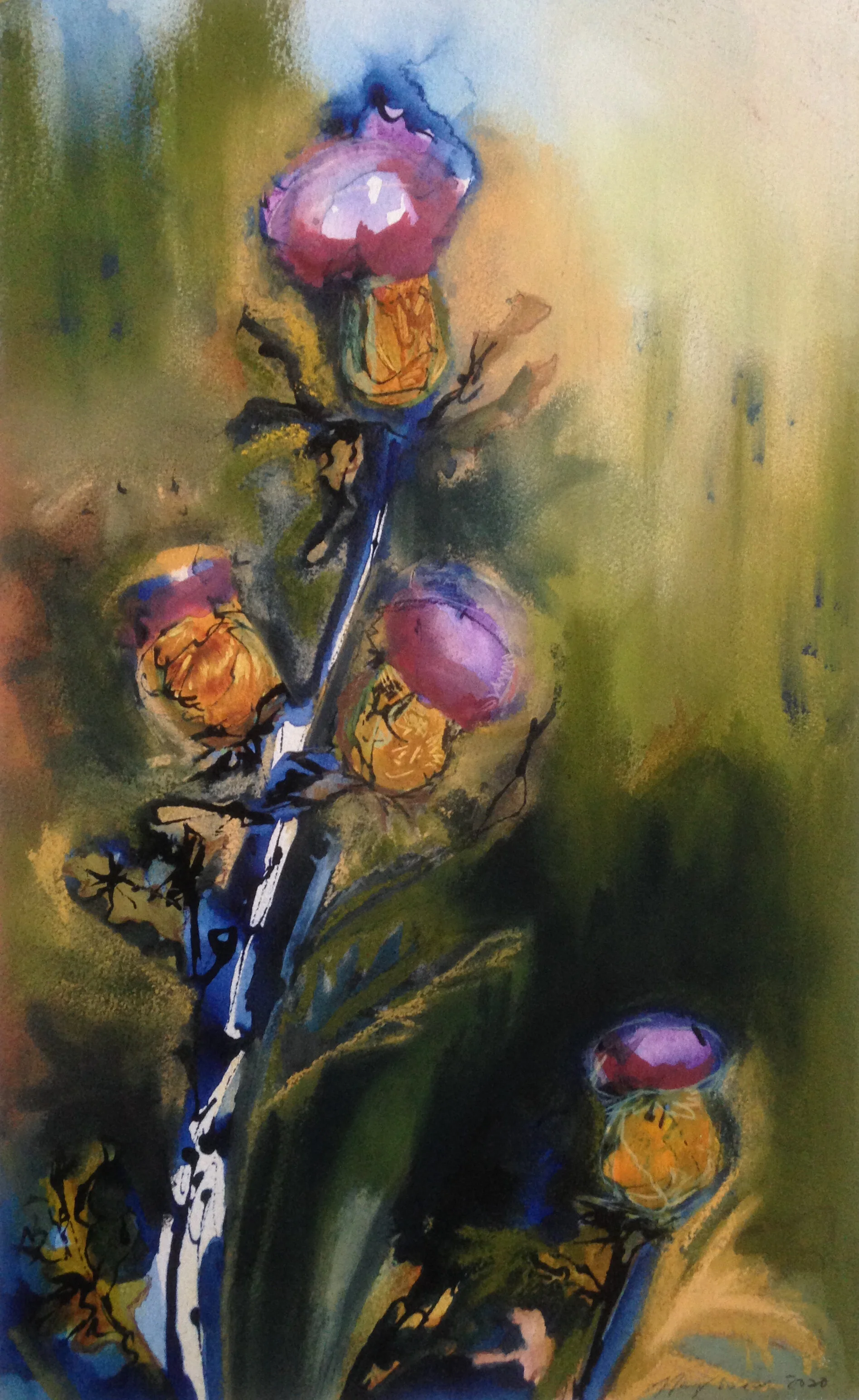 Milk Thistle (Chardon)