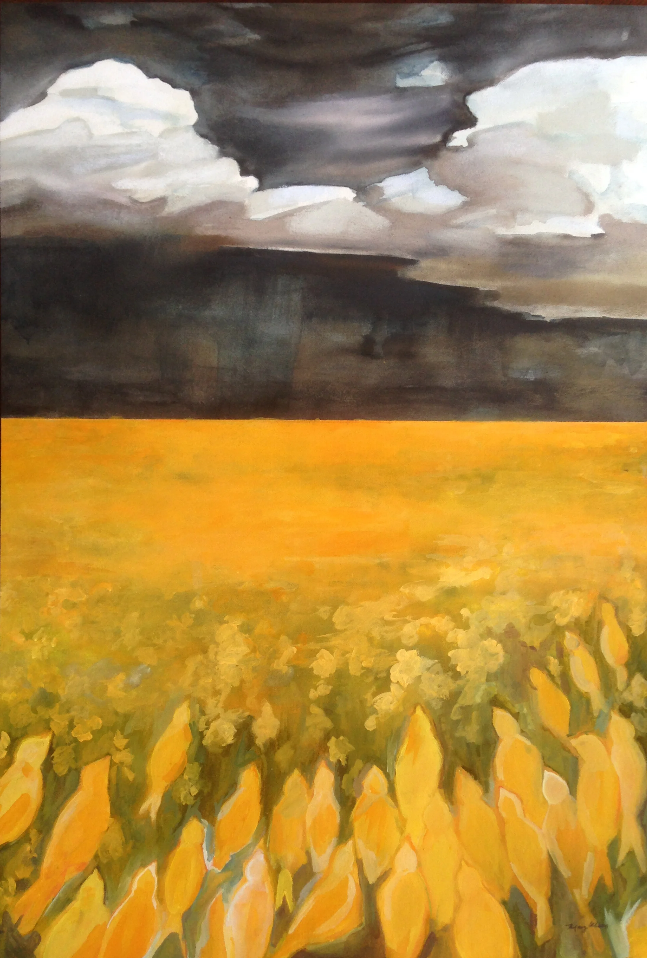 Canaries and Colza.JPG