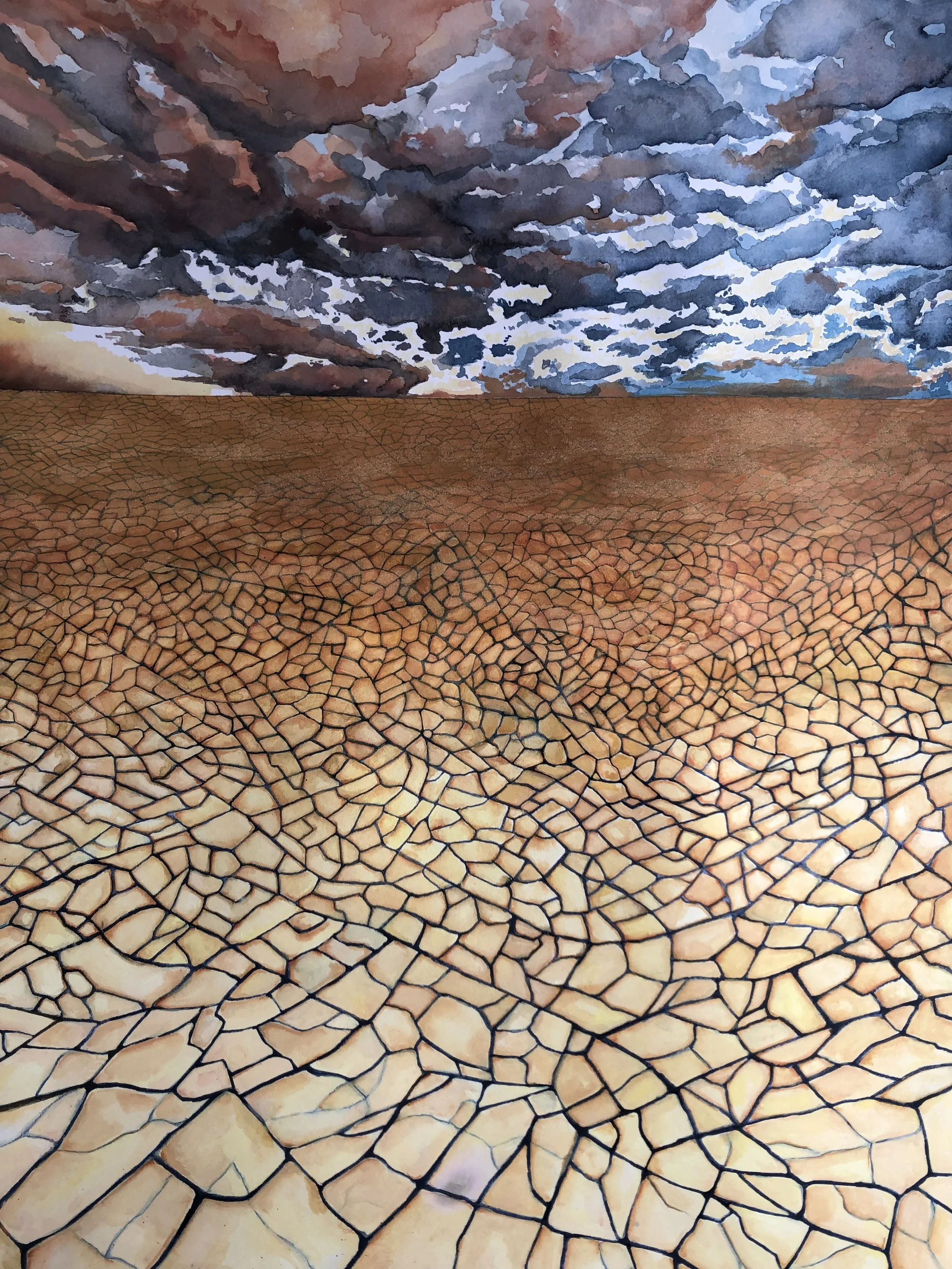 Cracked Earth ''Terre Fissurée''