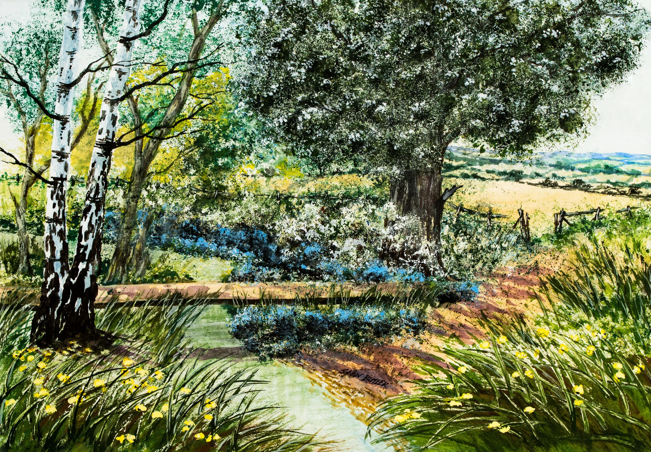 SPRING IS FINALLY HERE...