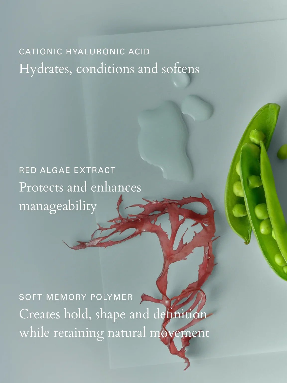 ROZ-milk_styling_mousse-plume_salon_Austin-mousse-ingredients_5.jpg.webp